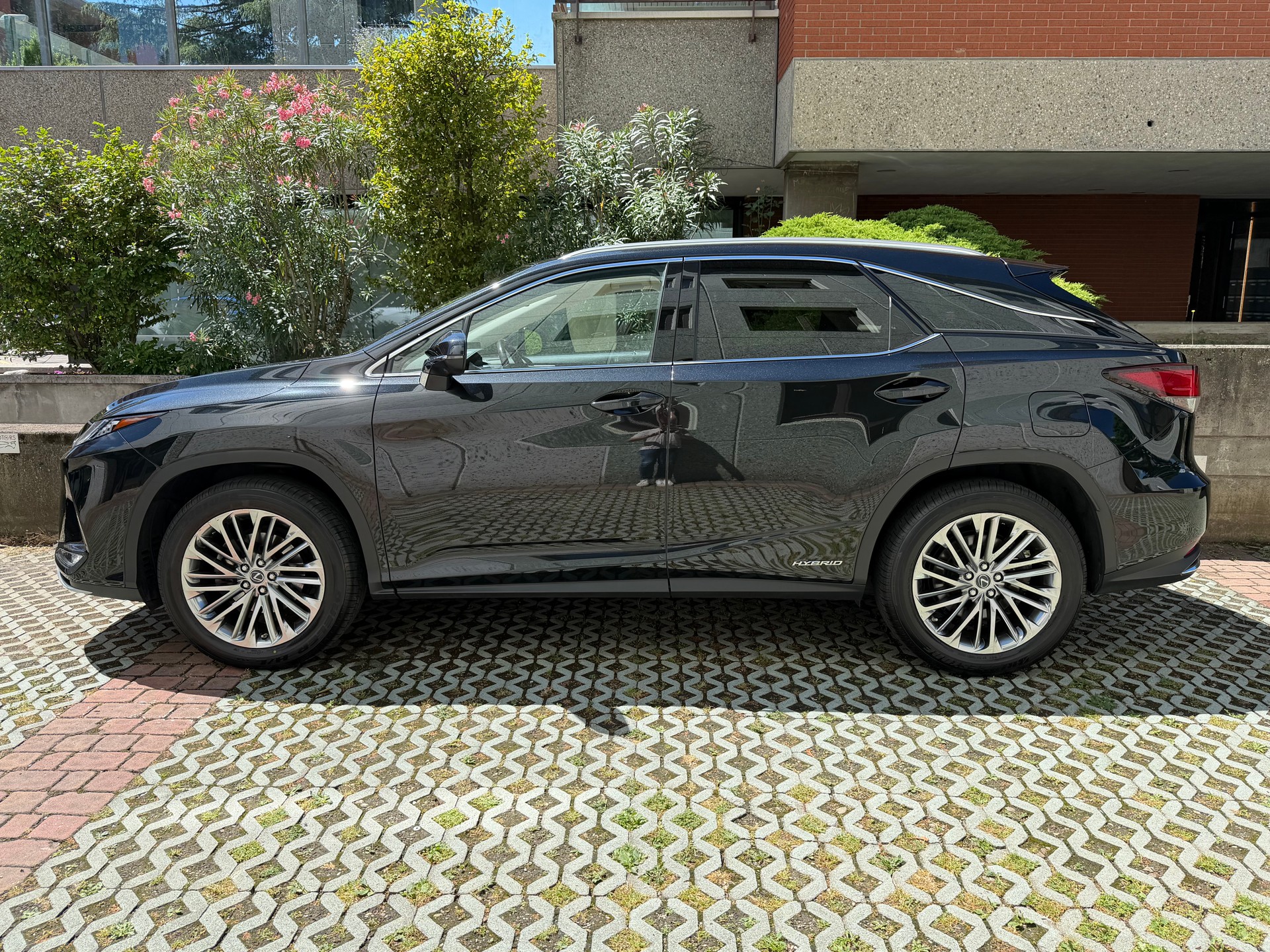 LEXUS RX 450h excellence AWD CVT-image-3