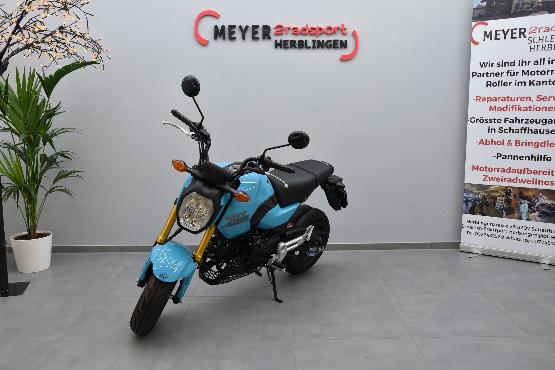 HONDA MSX125-image-3
