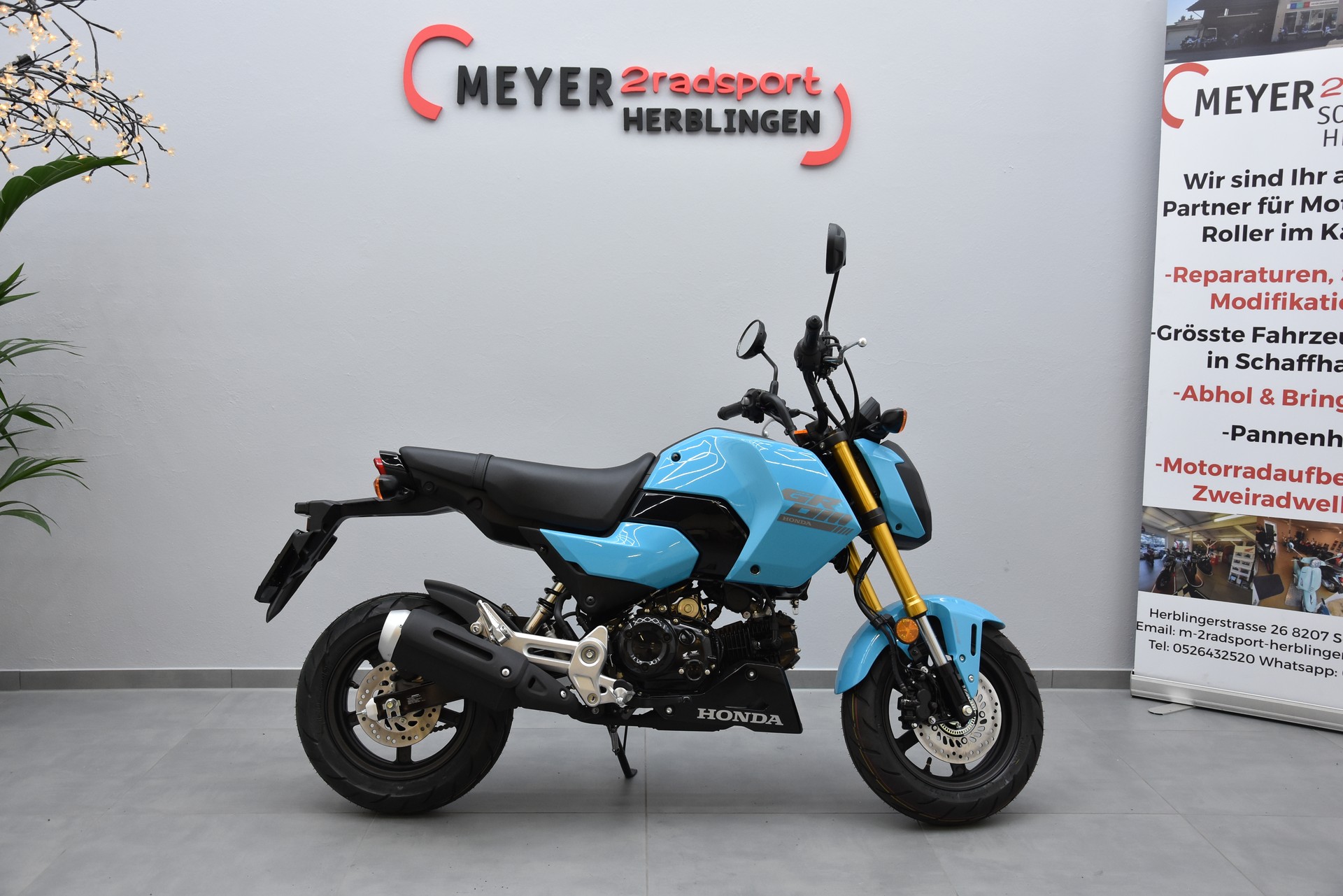 HONDA MSX125-image-1