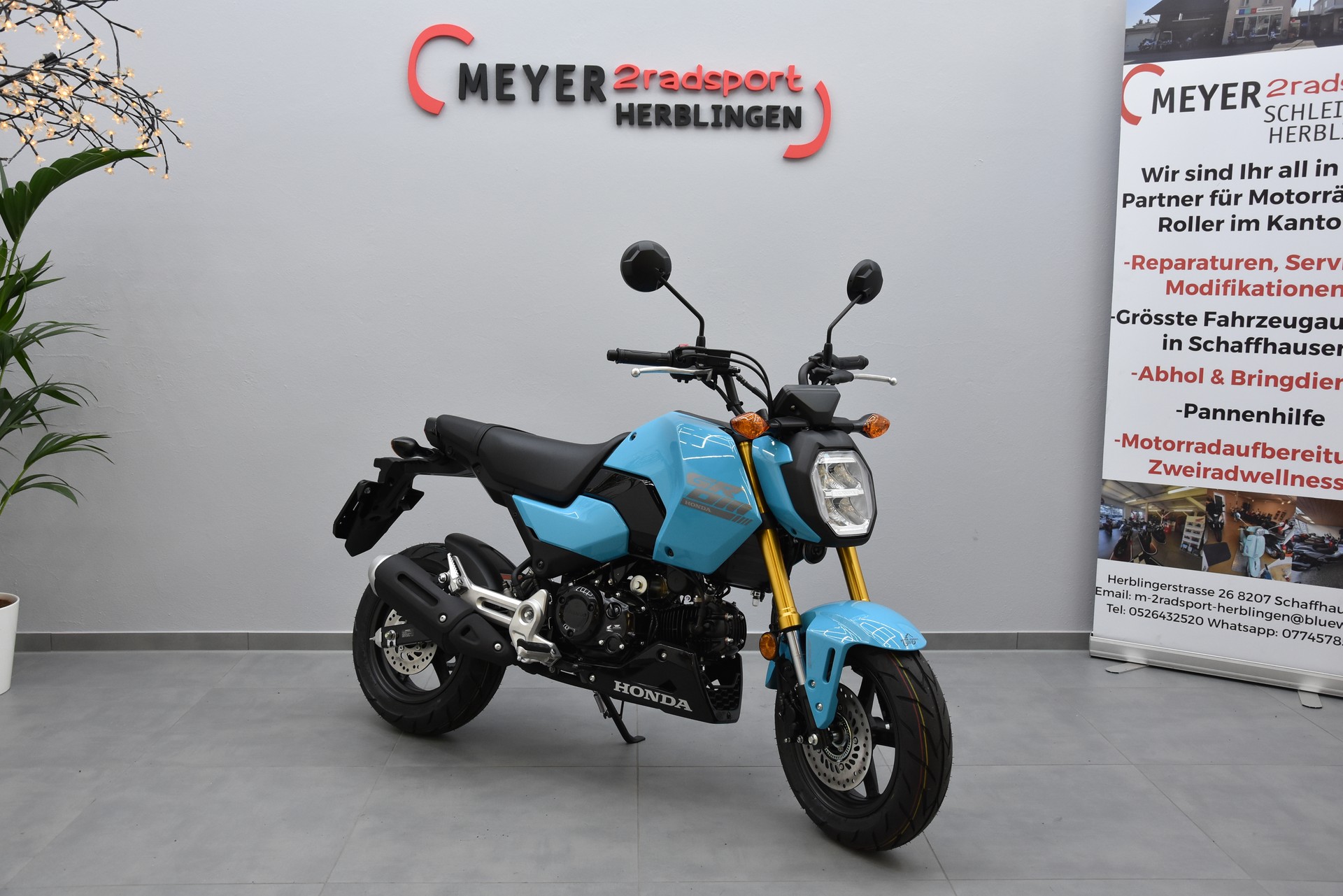 HONDA MSX125-image-0