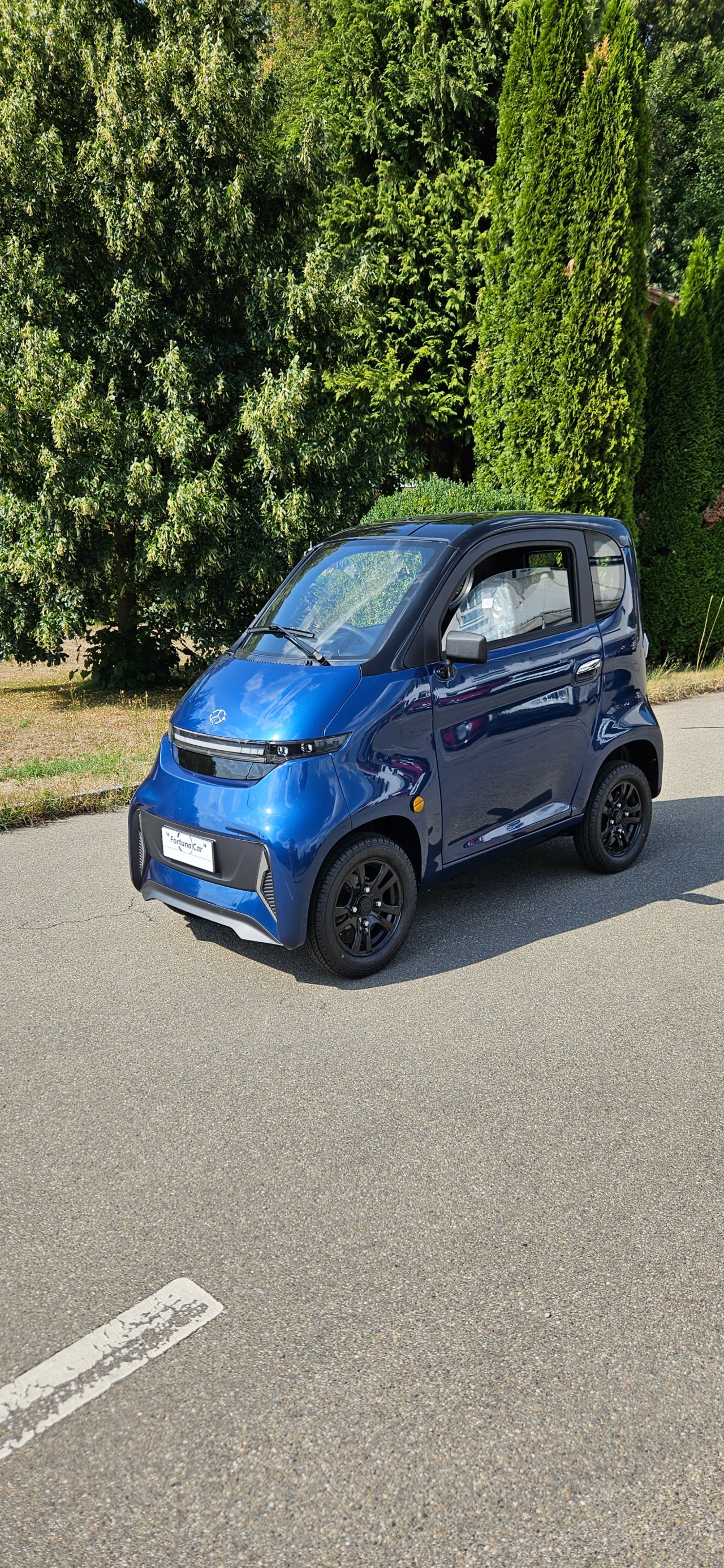 FULU Micar T1 !!Führerscheinbefreit bis 20kmh!! (In div. Farben erhältlich!)-image-18