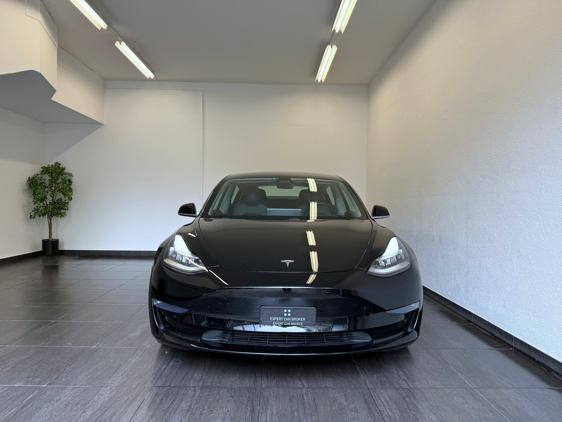 TESLA Model 3 Long Range Dual Motor AWD-showroom-element-3