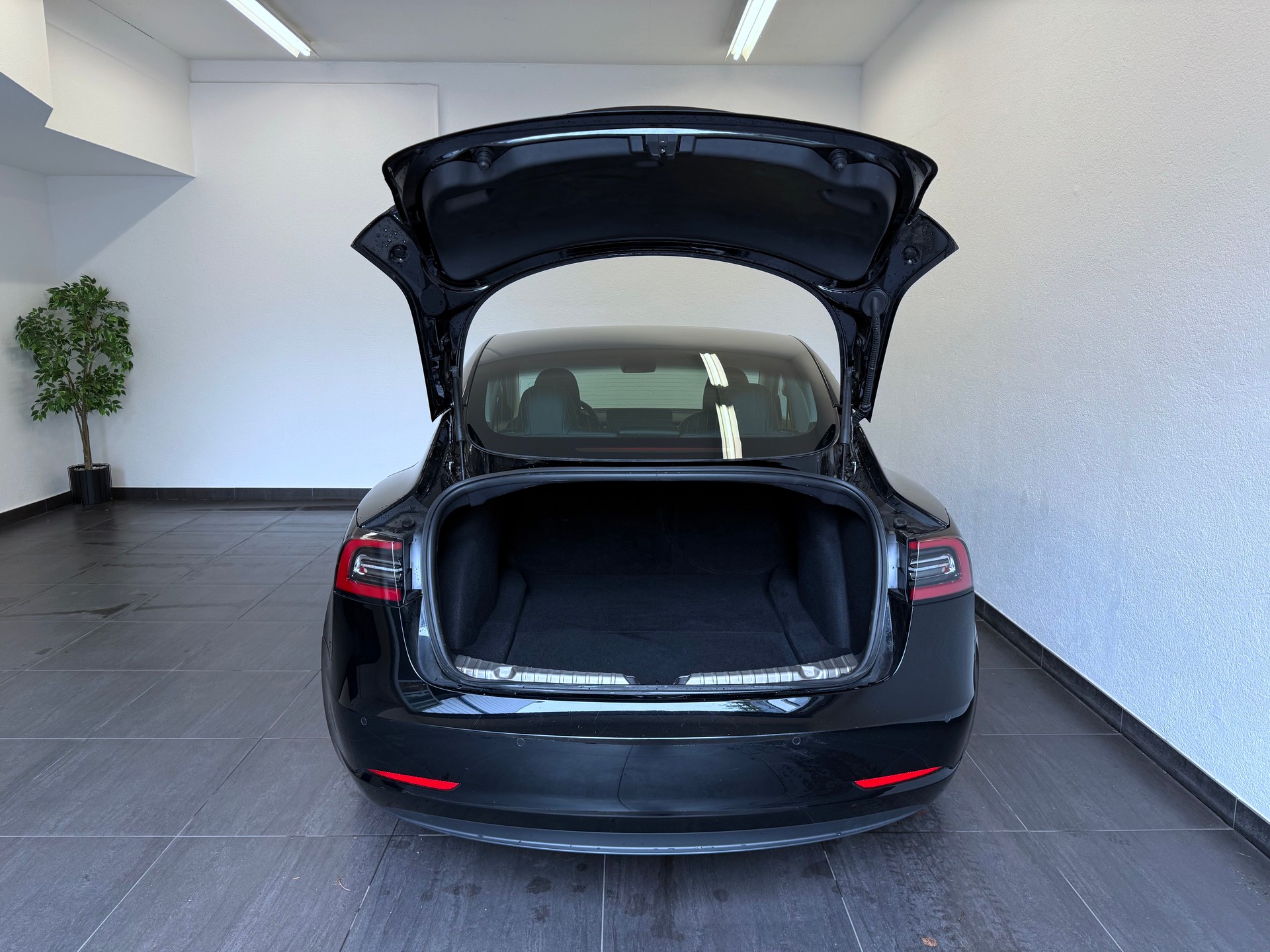 TESLA Model 3 Long Range Dual Motor AWD-image-11