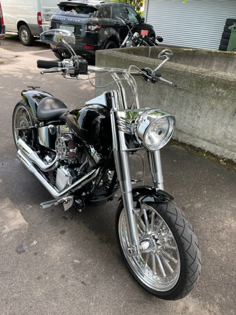 HARLEY-DAVIDSON FLSTFI Fat Boy-image-2