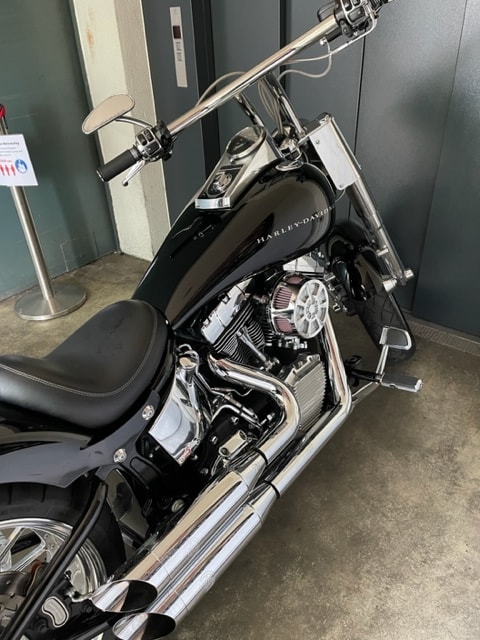 HARLEY-DAVIDSON FLSTFI Fat Boy-image-9