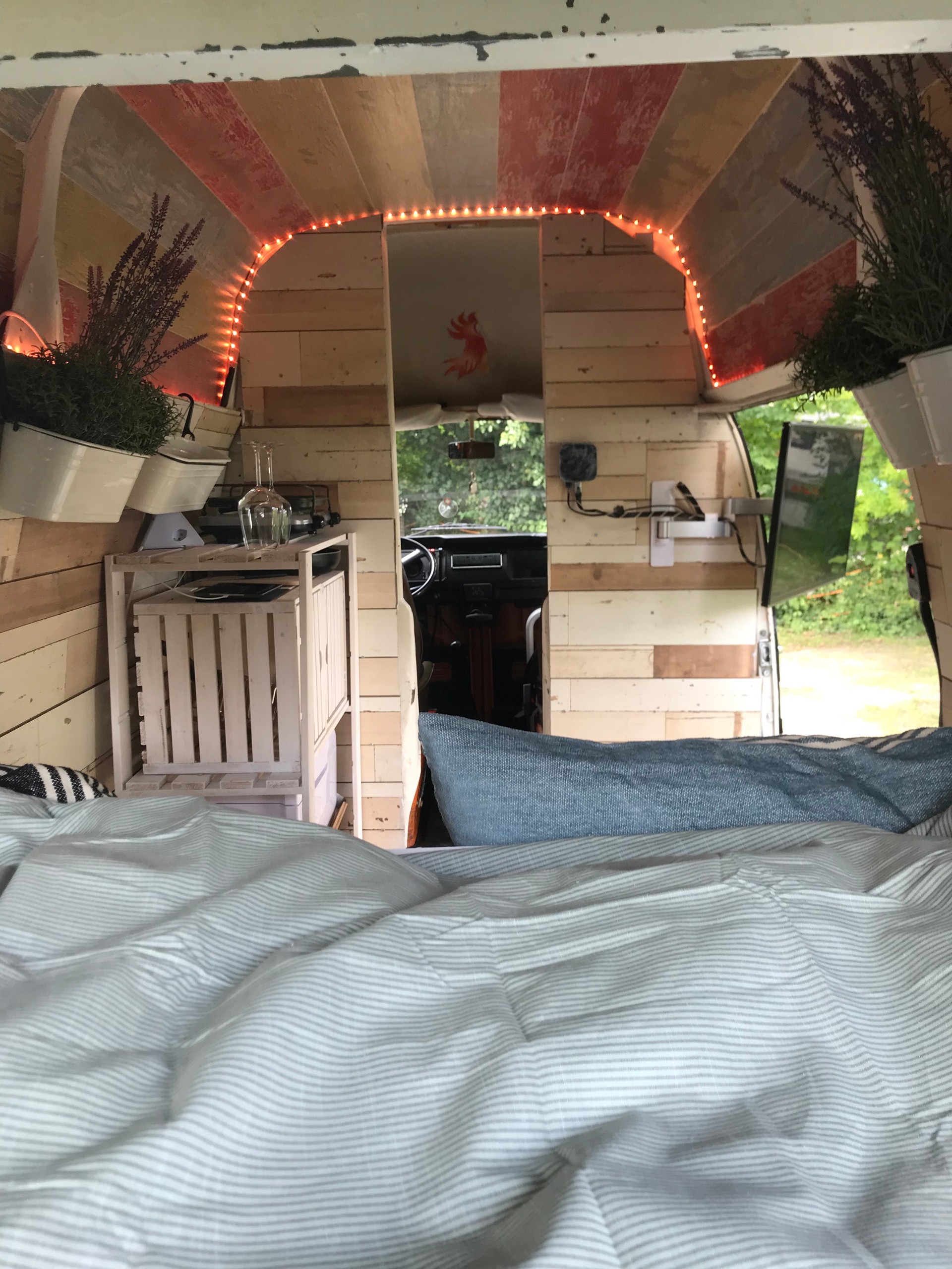 VW Transporter-image-12