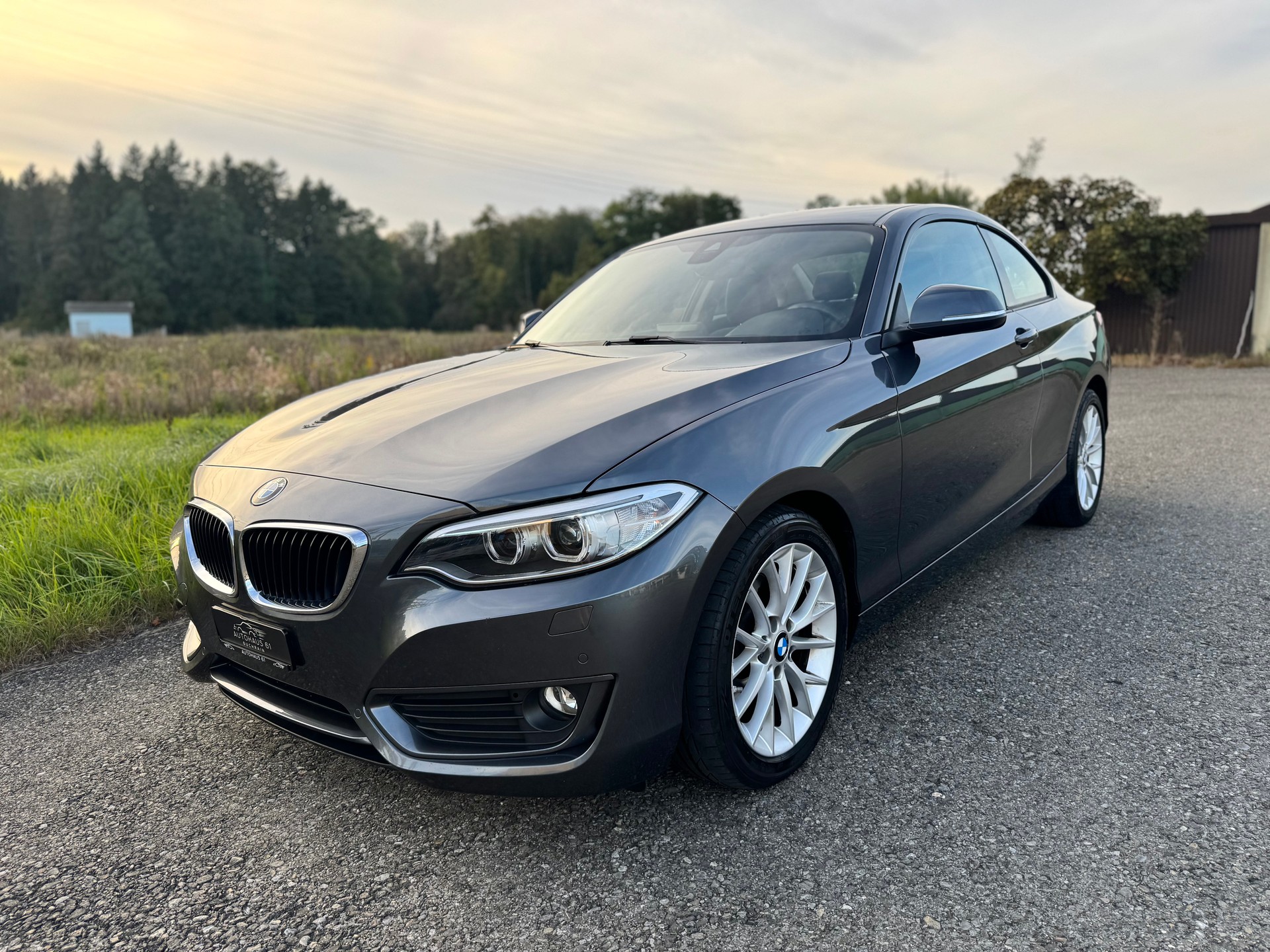 BMW 220i Modern Line Steptronic / ab MFK bei Verkauf-showroom-element-2