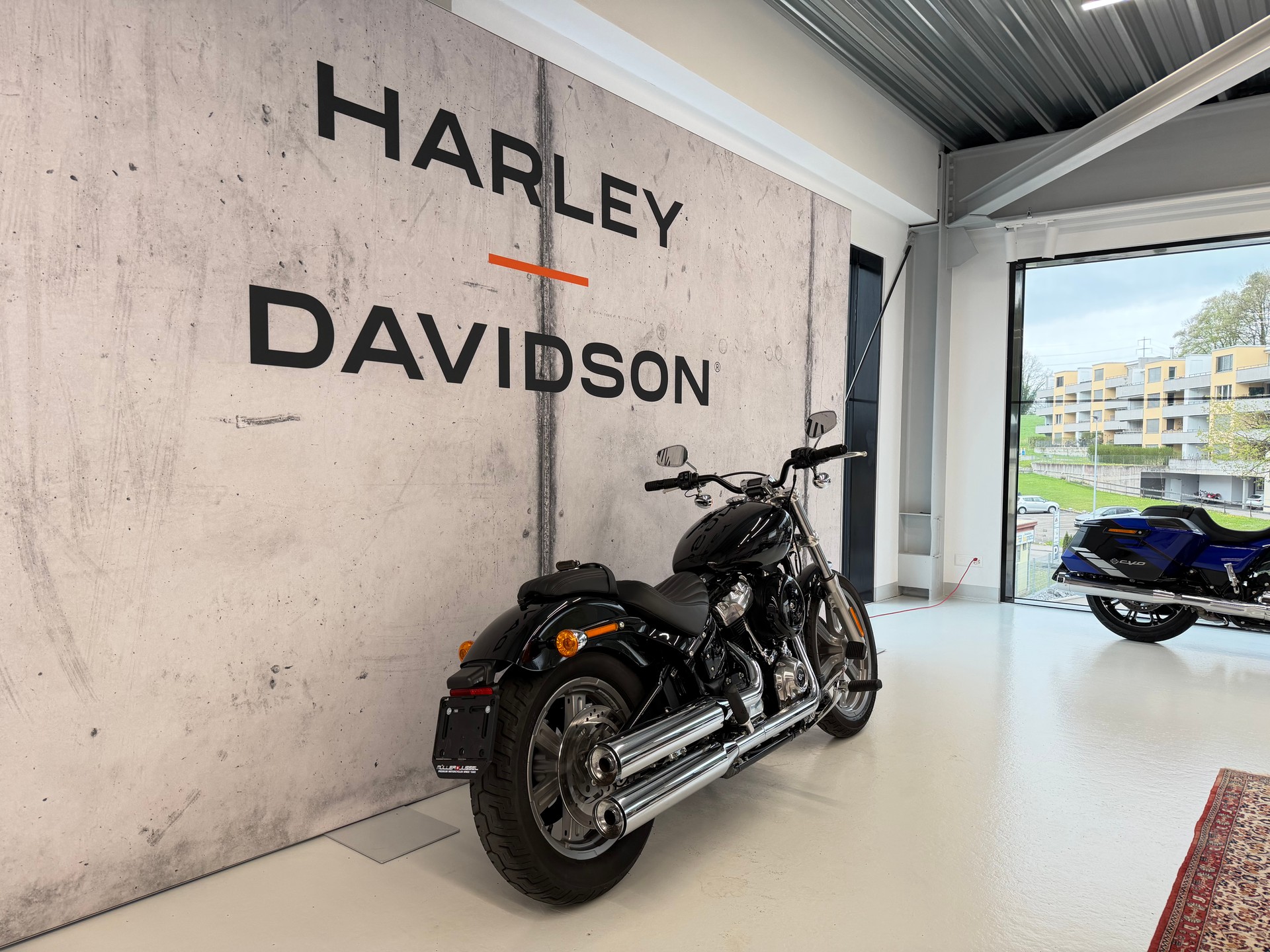 HARLEY-DAVIDSON FXST Softail Standard 107-image-2
