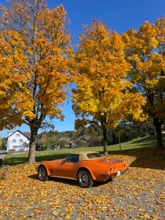CHEVROLET C3-image-5