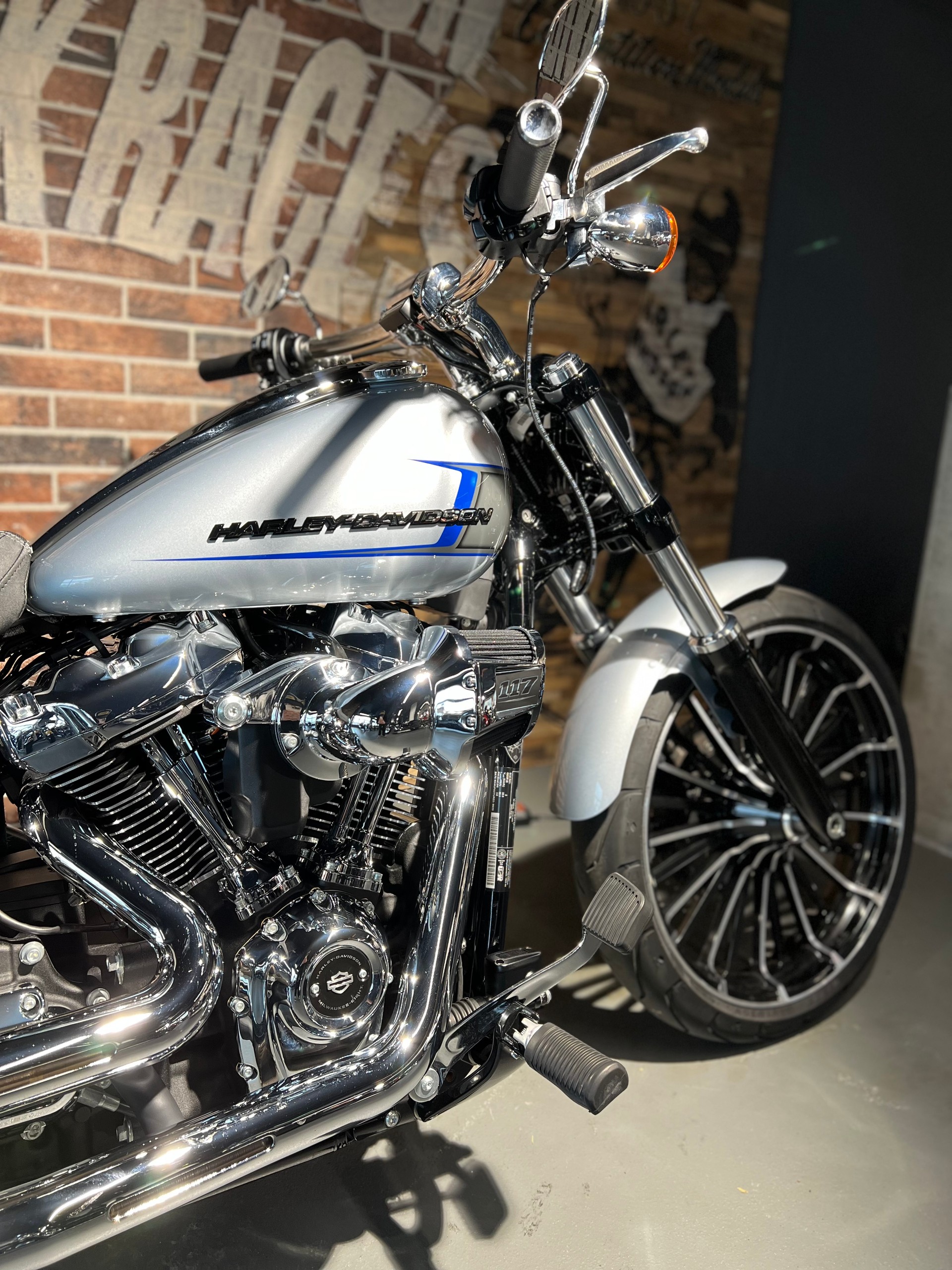 HARLEY-DAVIDSON FXBR Breakout 117-image-5