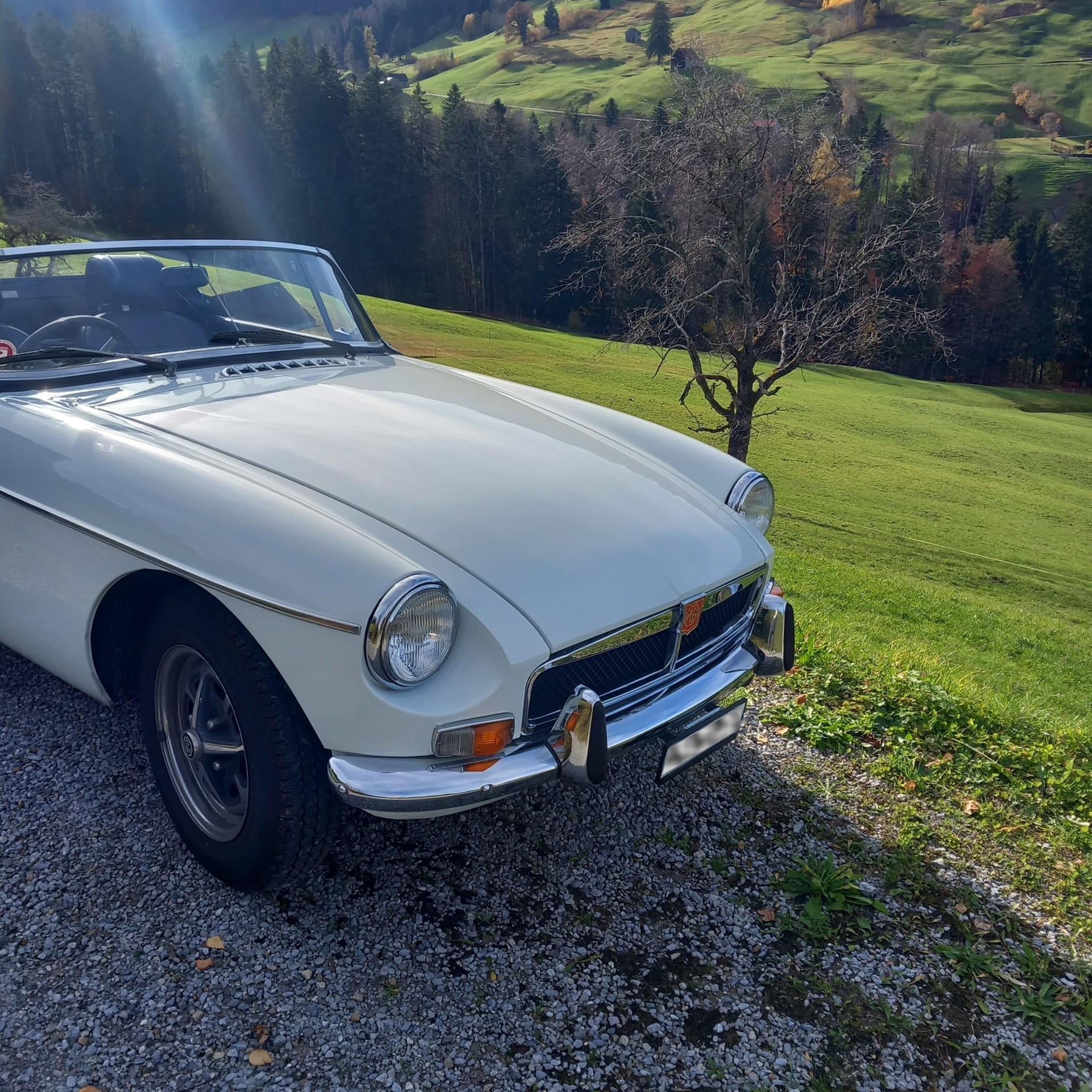 MG MGB-image-1