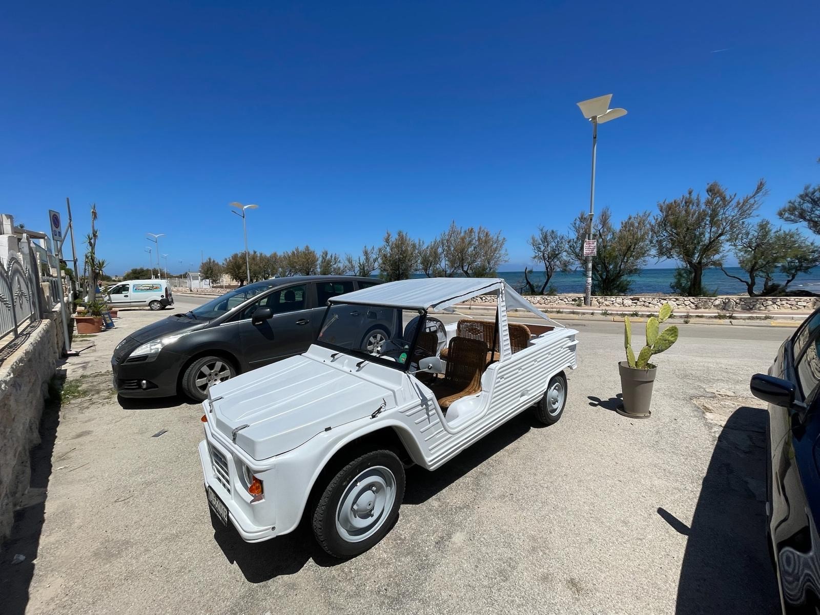 CITROEN Ayca-showroom-element-1