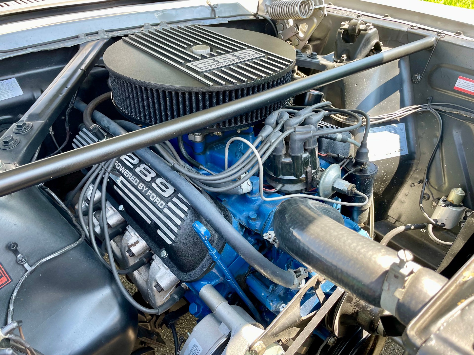 FORD Mustang Fastback 289 REAL GT Package A CODE * PIO - MODEL *-image-12