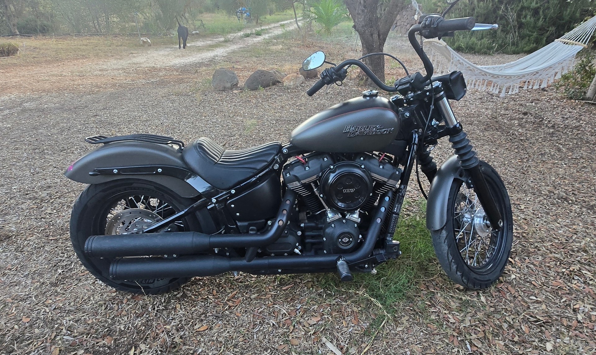 HARLEY-DAVIDSON Softail-image-0