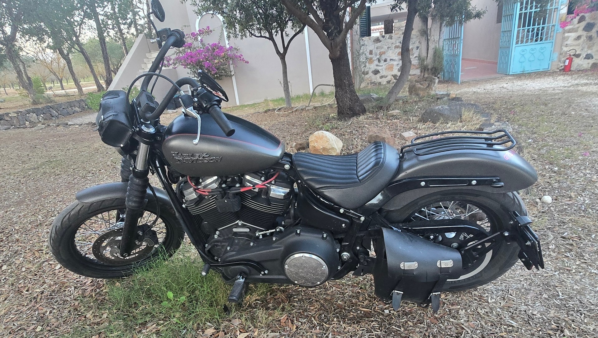 HARLEY-DAVIDSON Softail-image-1