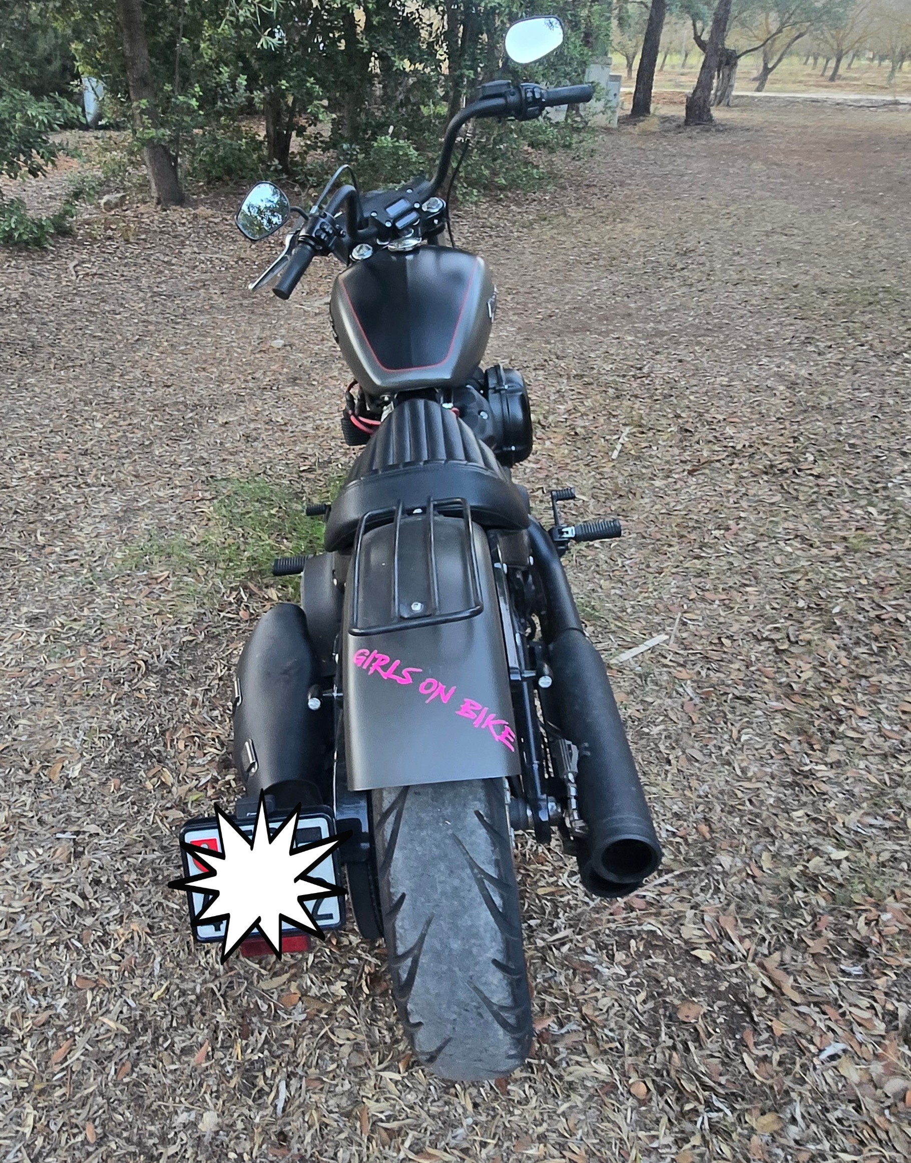 HARLEY-DAVIDSON Softail-image-2