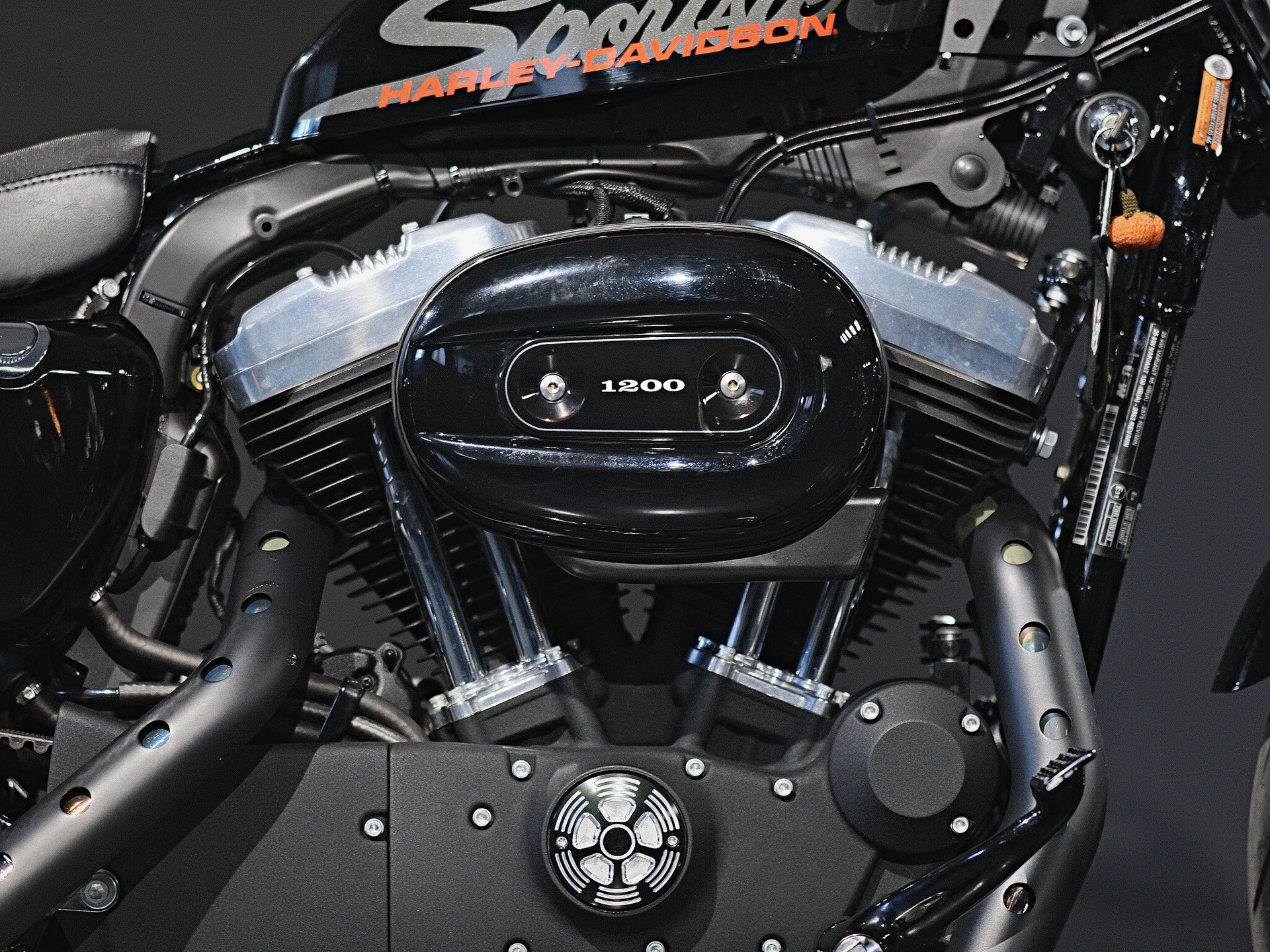 HARLEY-DAVIDSON XL 1200 X Forty Eight-image-7