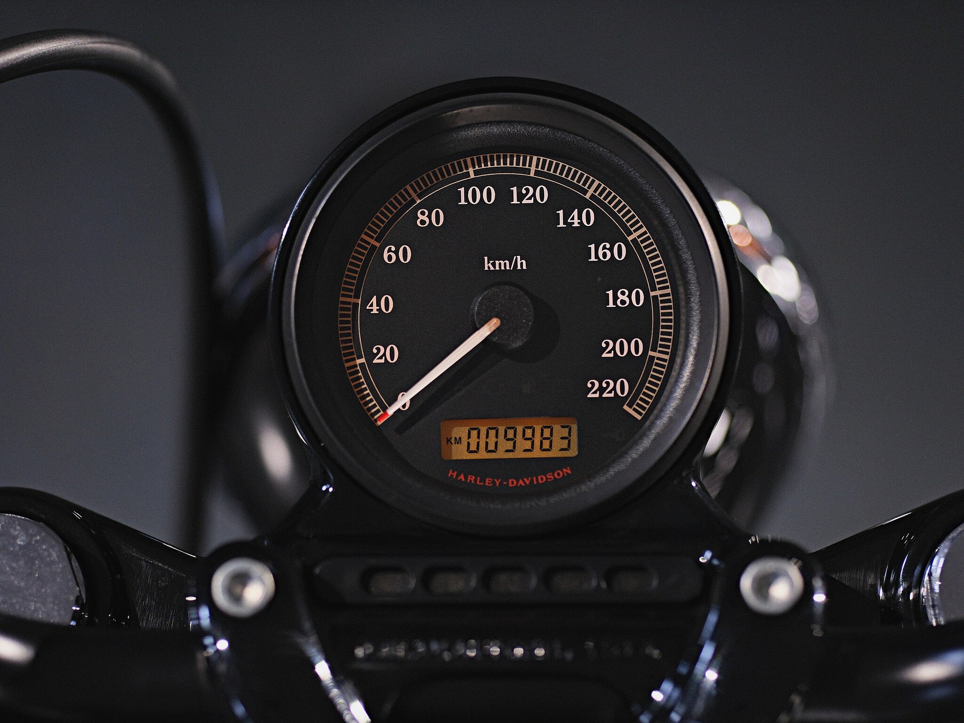 HARLEY-DAVIDSON XL 1200 X Forty Eight-image-15