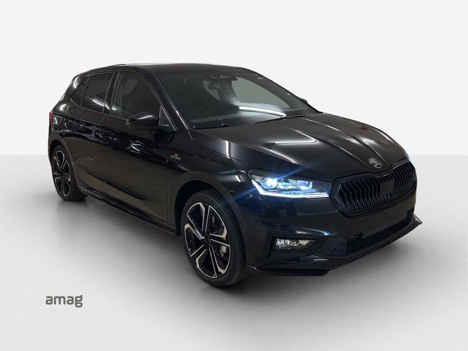 SKODA Fabia 1.0 TSI Selection DSG-image-5