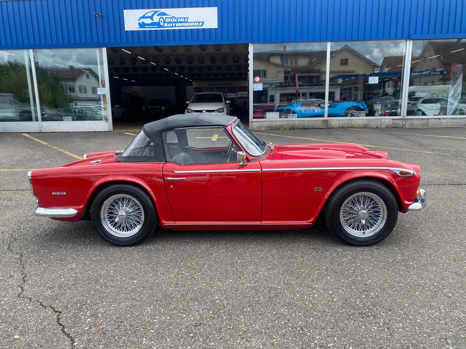 TRIUMPH TR 250-image-5
