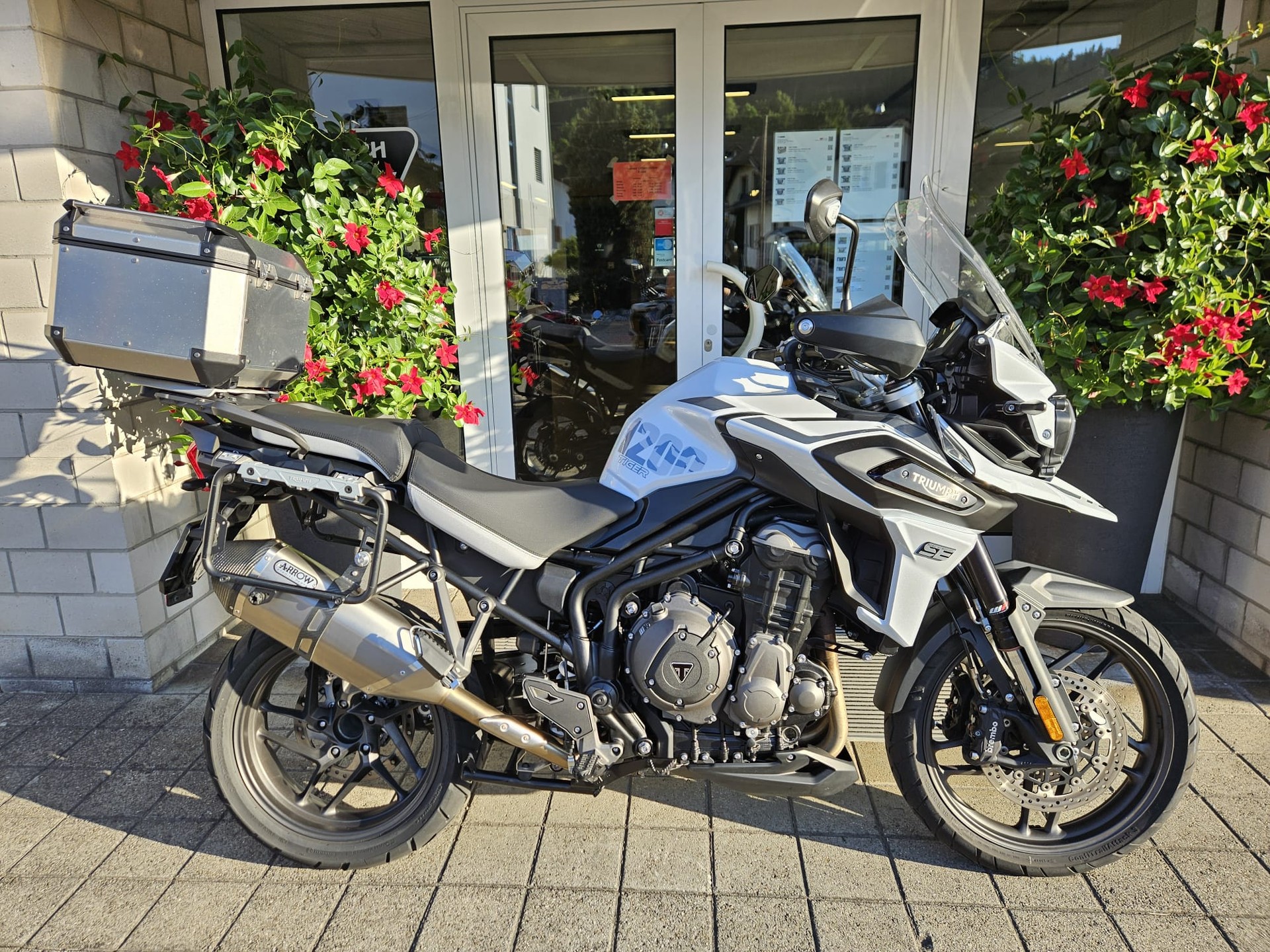 TRIUMPH Tiger 1200 Alpine Edition-image-1