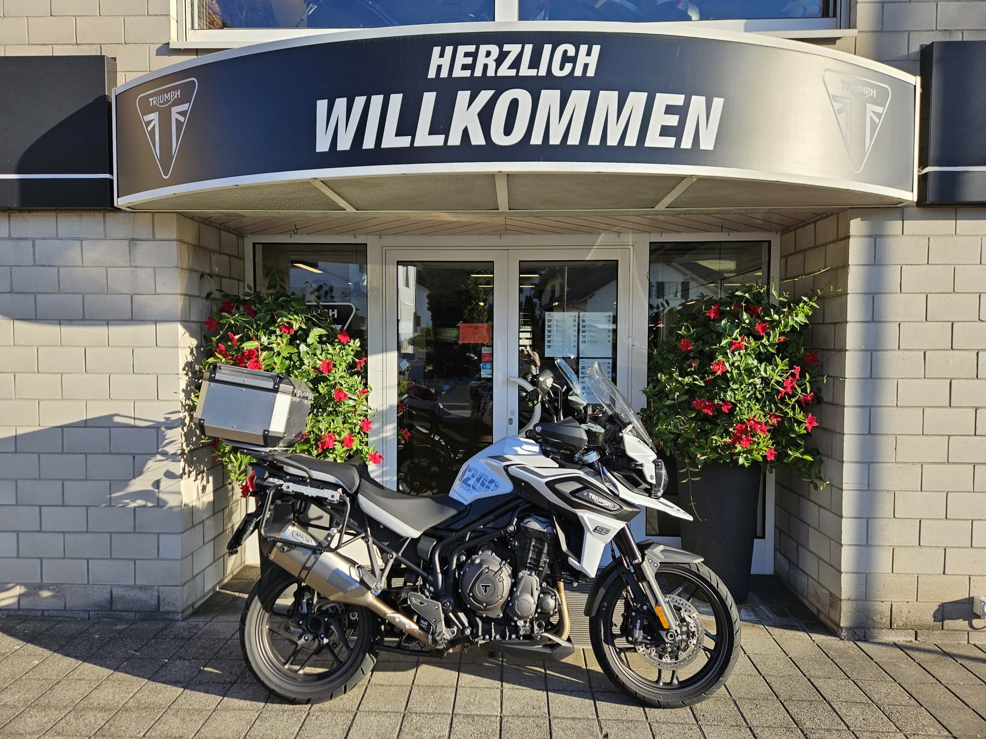 TRIUMPH Tiger 1200 Alpine Edition-image-0
