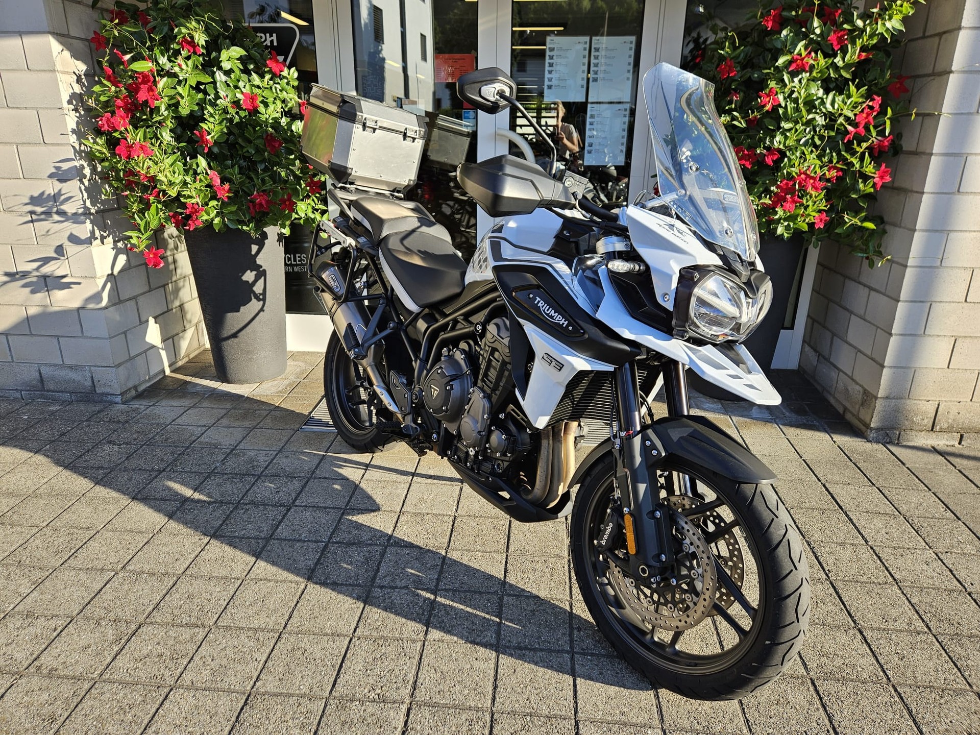 TRIUMPH Tiger 1200 Alpine Edition-image-2