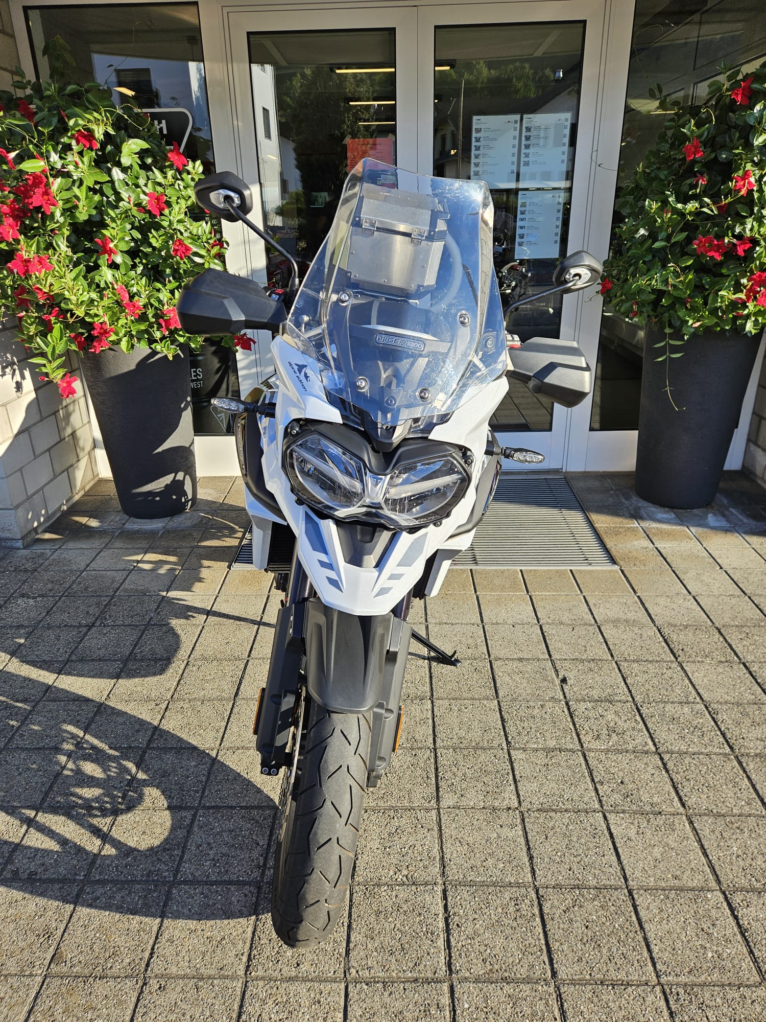 TRIUMPH Tiger 1200 Alpine Edition-image-5
