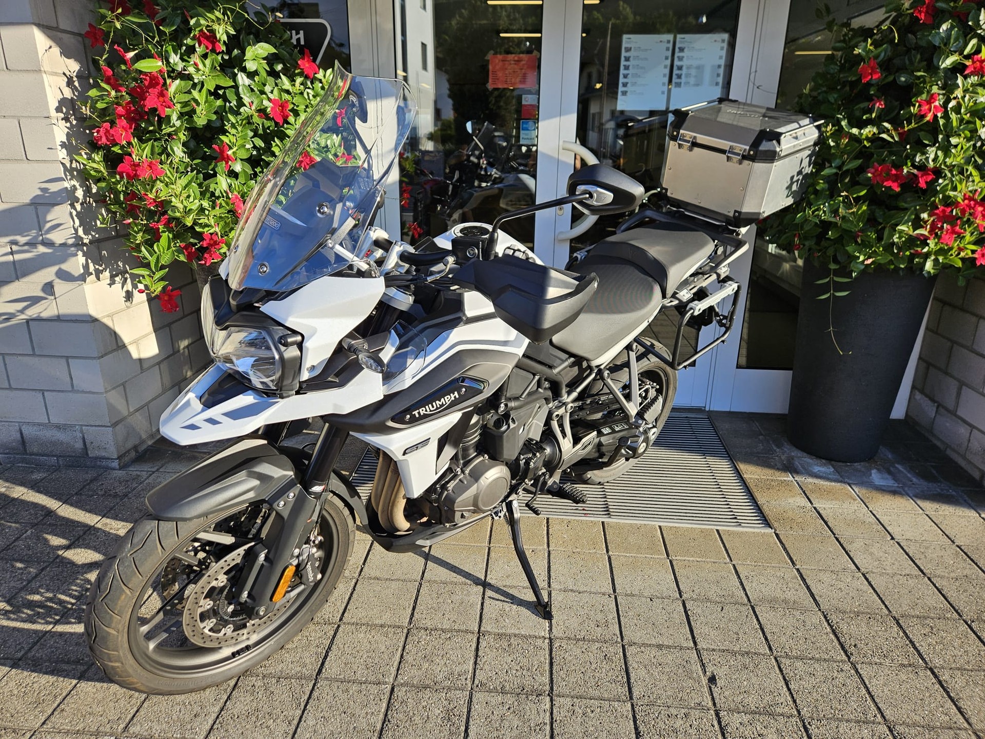 TRIUMPH Tiger 1200 Alpine Edition-image-3