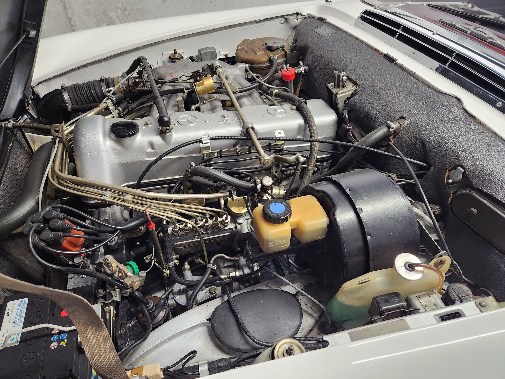 MERCEDES-BENZ SL 230 Cabriolet Pagode-image-17