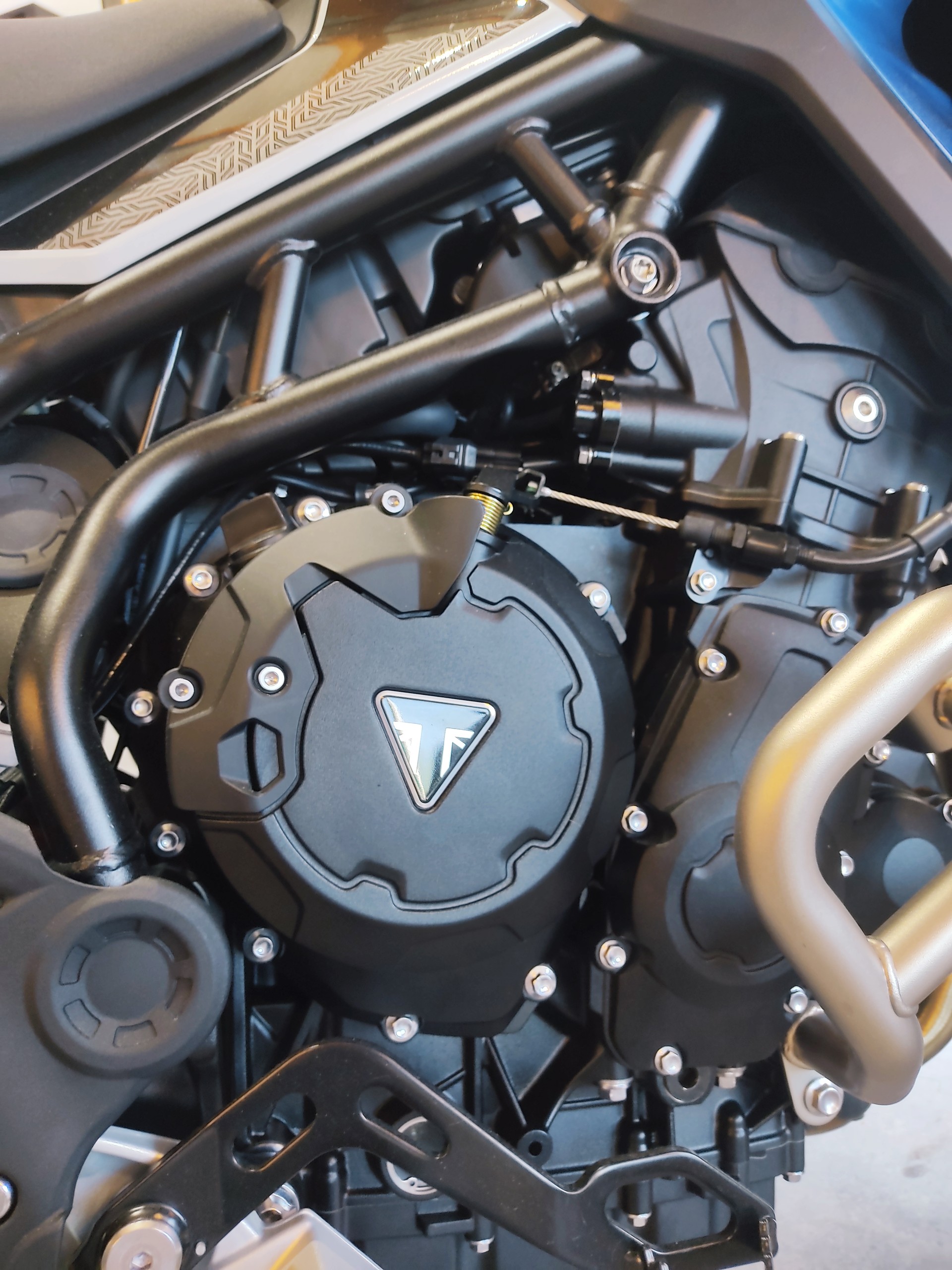 TRIUMPH 900 Alpine Edition-image-6