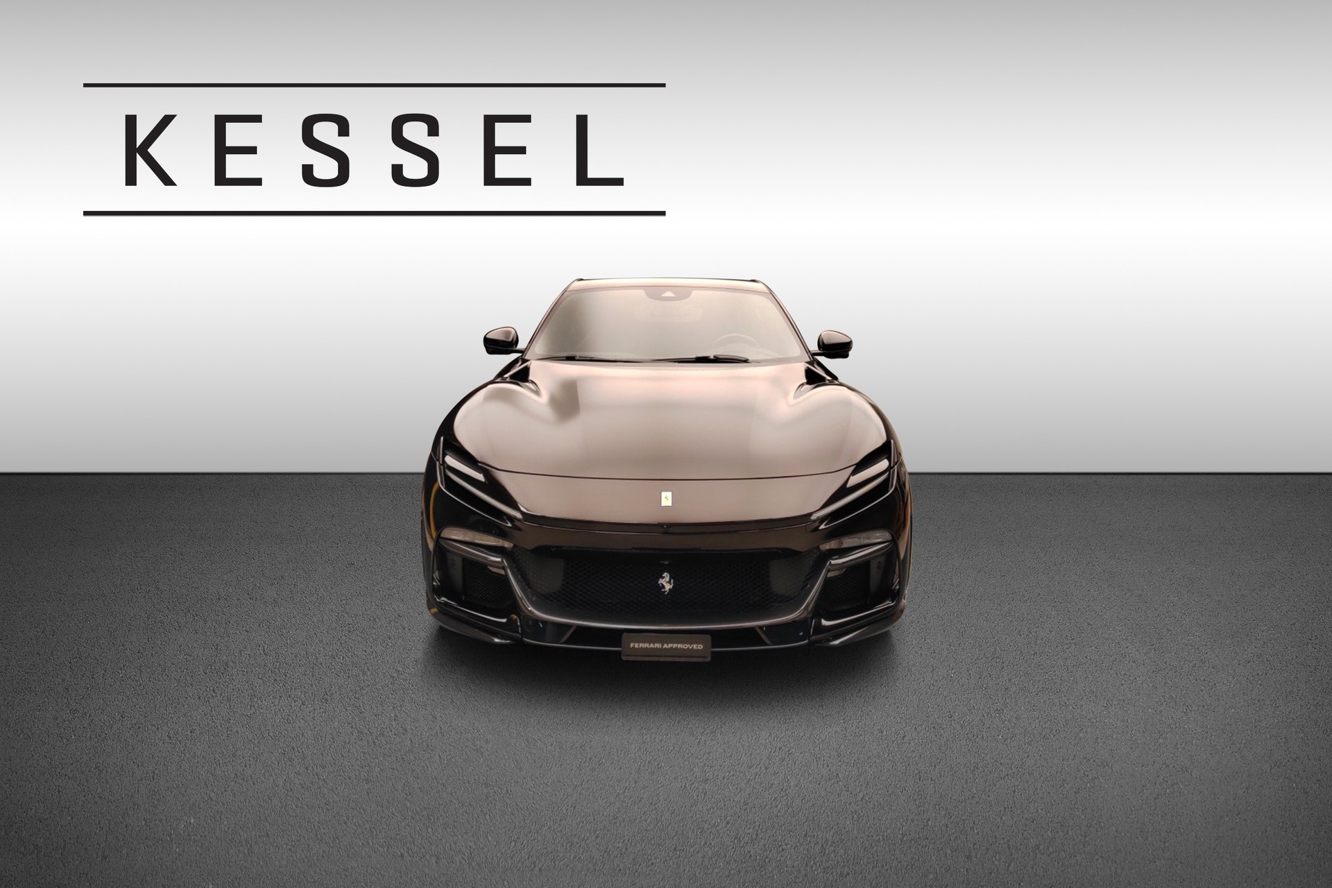 FERRARI Purosangue 6.5 V12-showroom-element-1