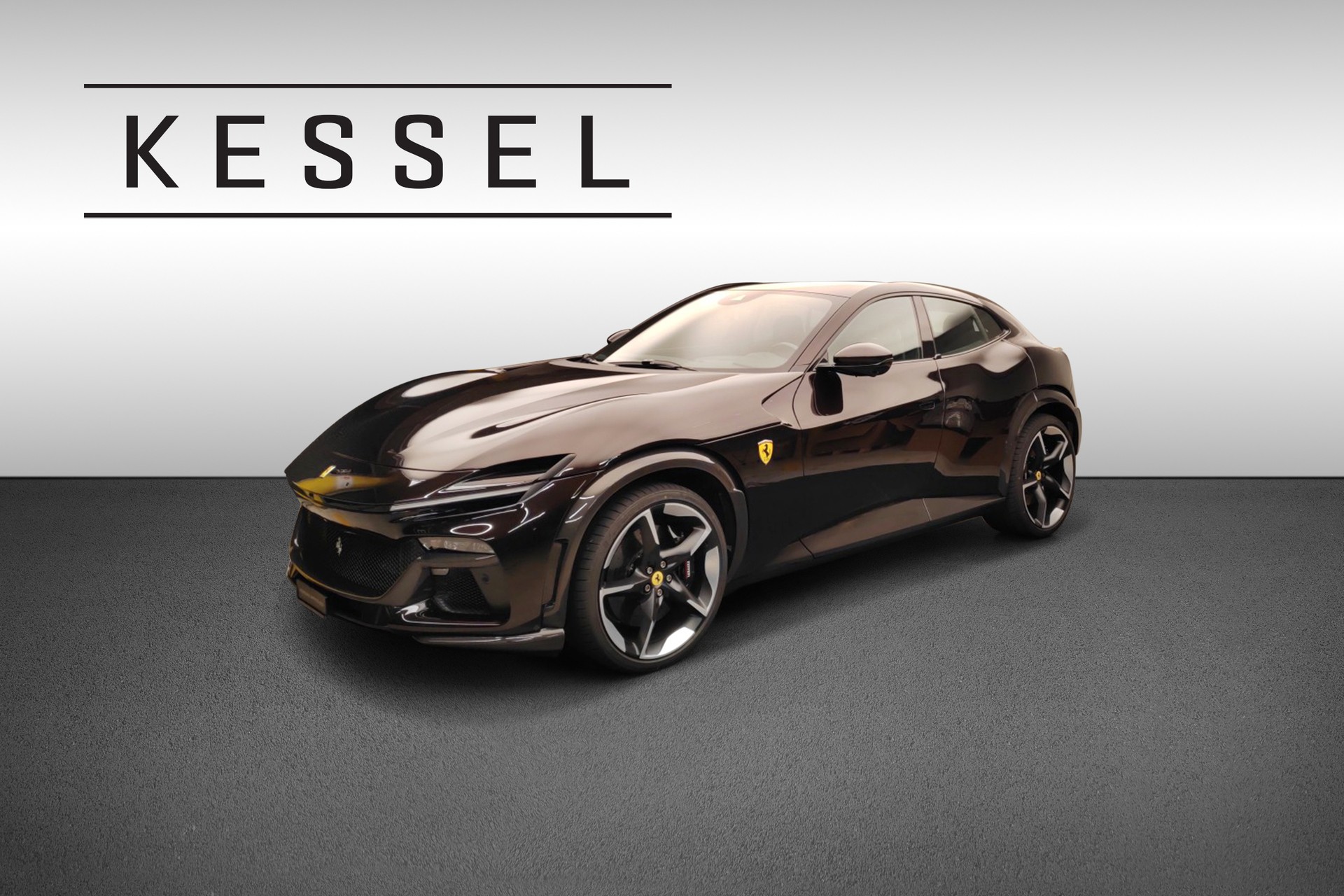 FERRARI Purosangue 6.5 V12-showroom-element-2