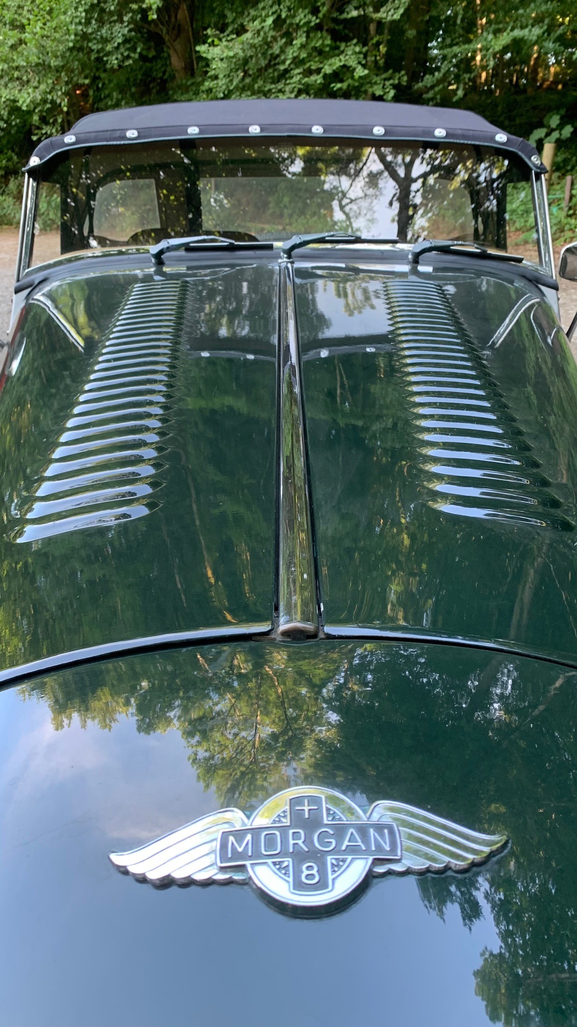 MORGAN + 8 Roadster-image-13