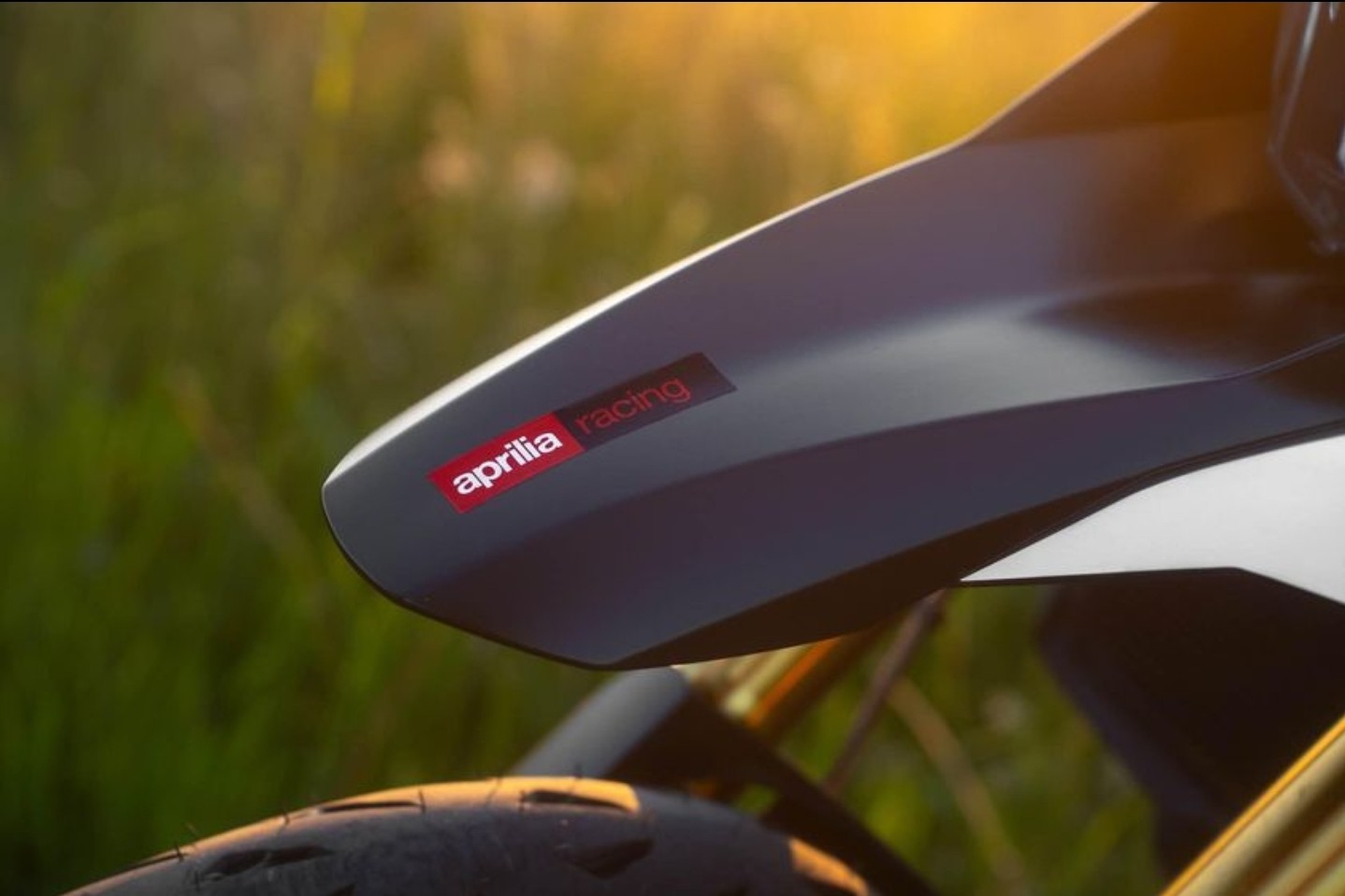 APRILIA SMV 750 ABS-image-1