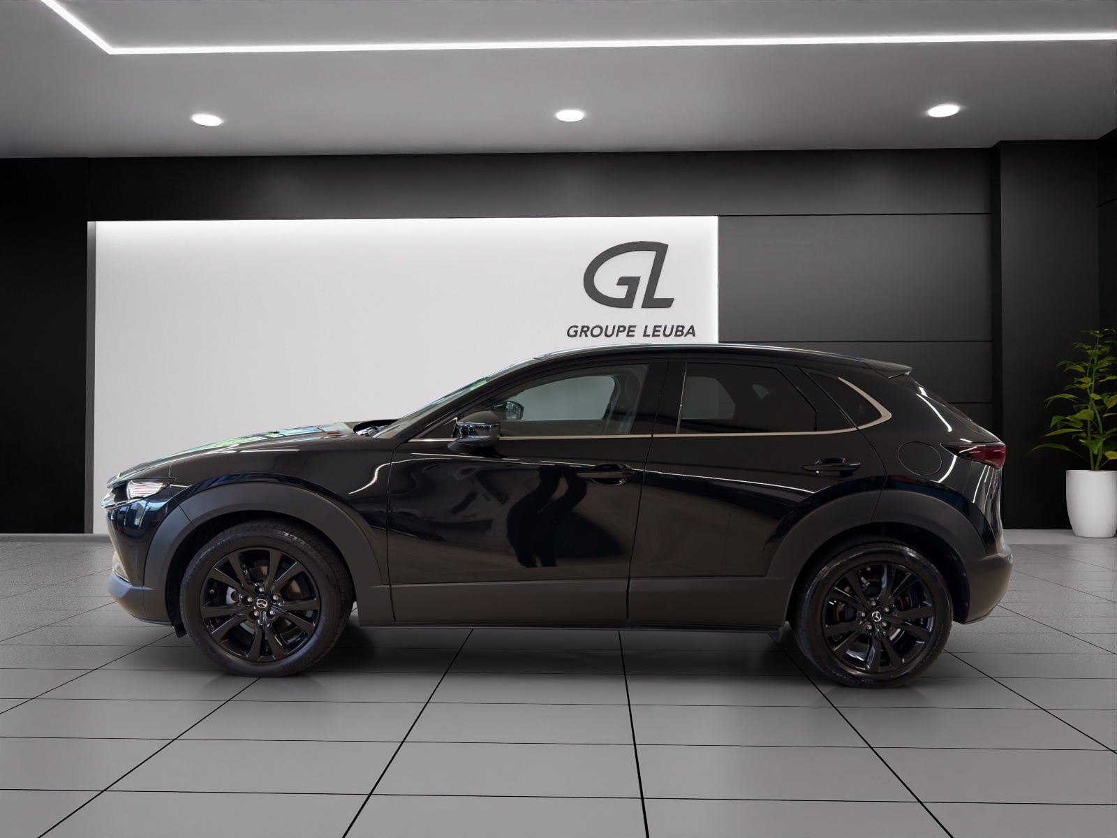 MAZDA CX-30 X 186 Homura AWD-showroom-element-2