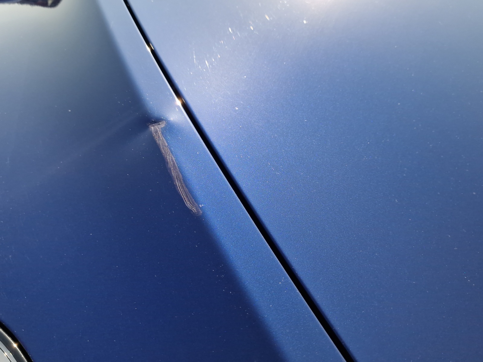 TESLA Model Y Long Range-image-16