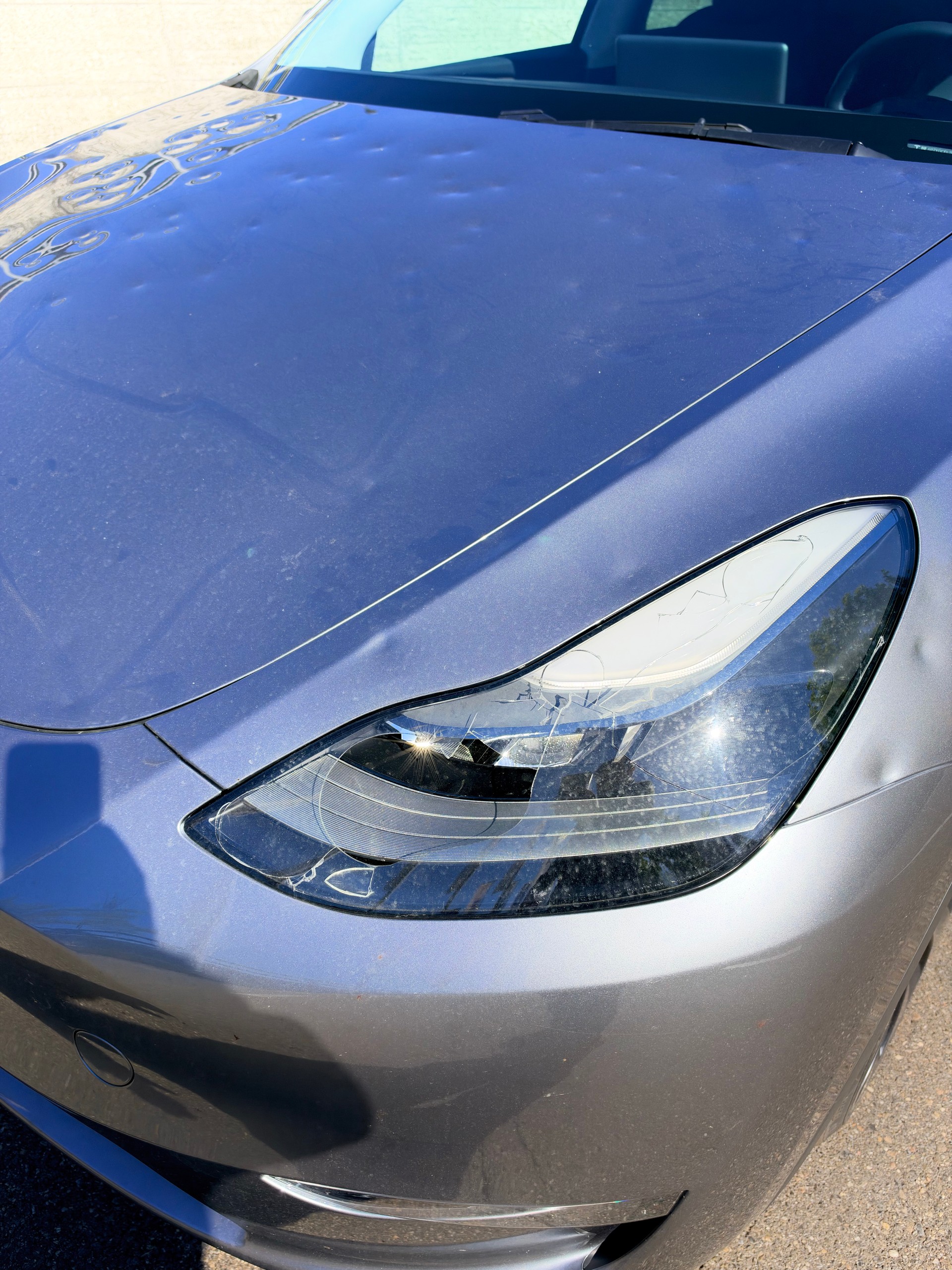 TESLA Model Y Performance-image-4