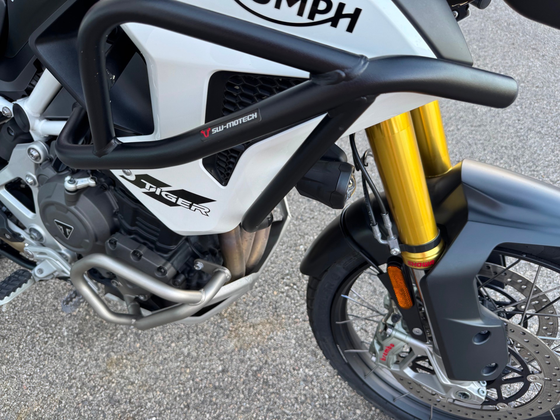 TRIUMPH Tiger 1200 Rally Pro-image-11