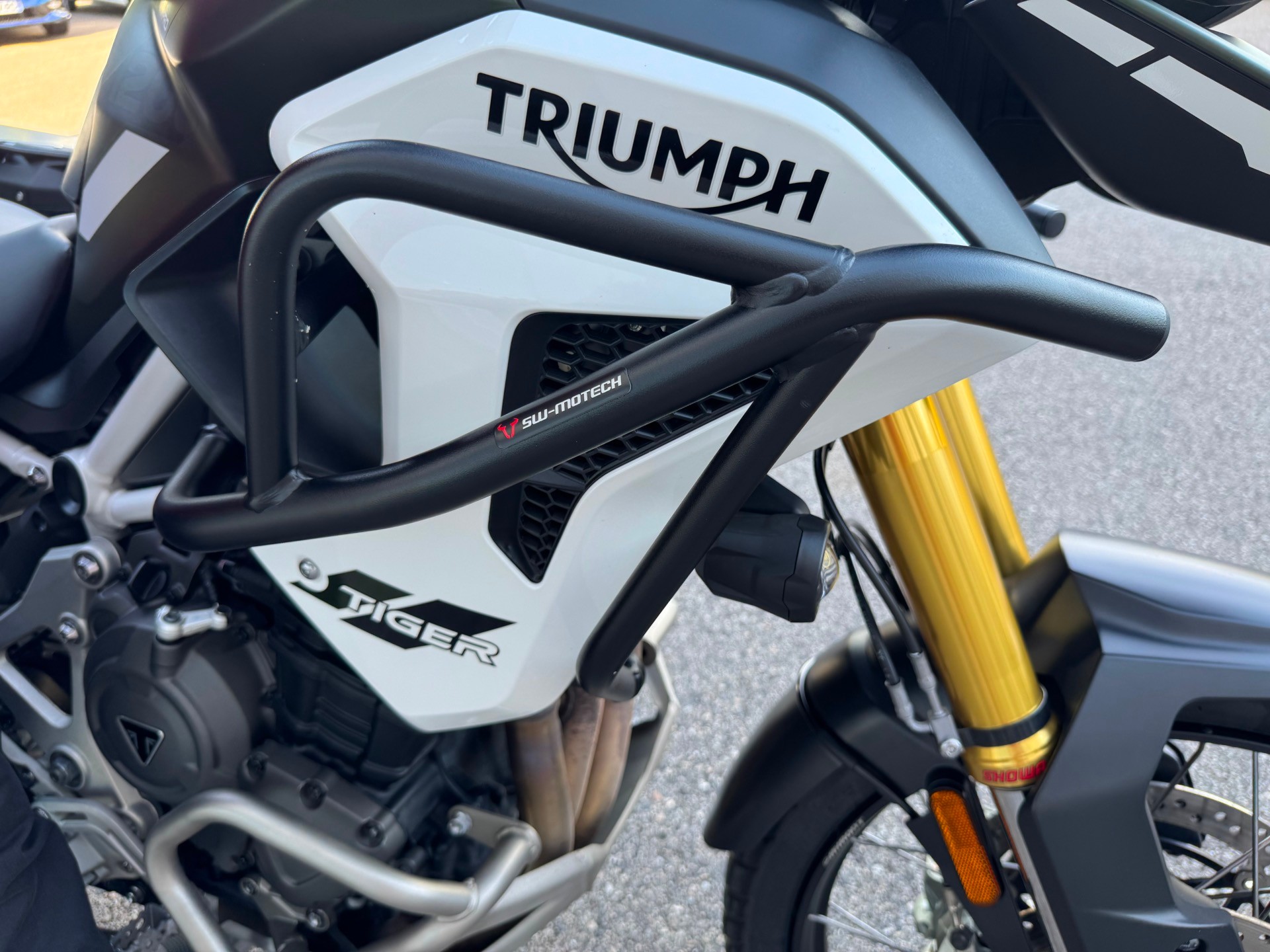 TRIUMPH Tiger 1200 Rally Pro-image-10
