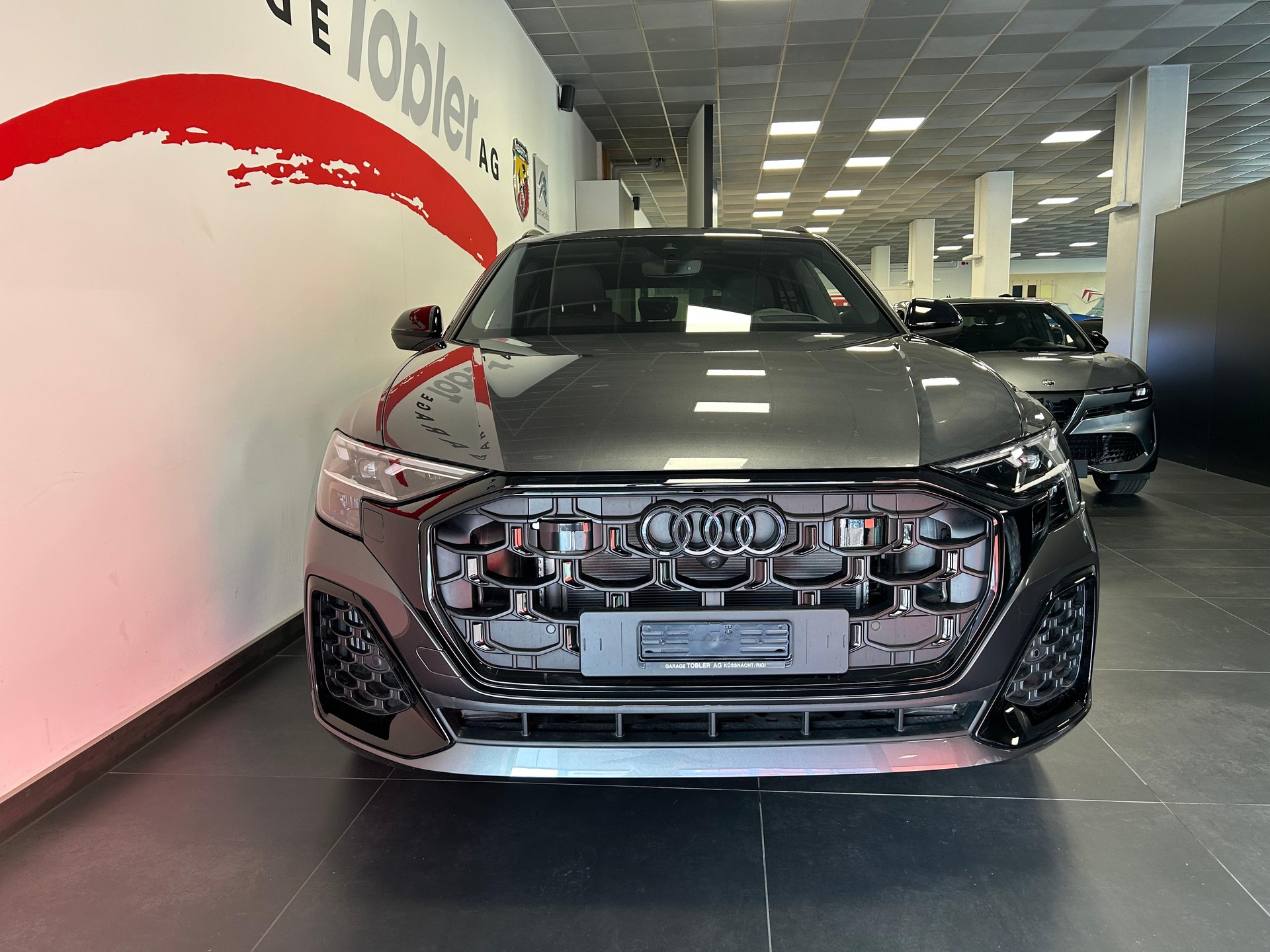 AUDI Q8 SUV 3.0 55 TFSI e quattro T-Tronic-showroom-element-3