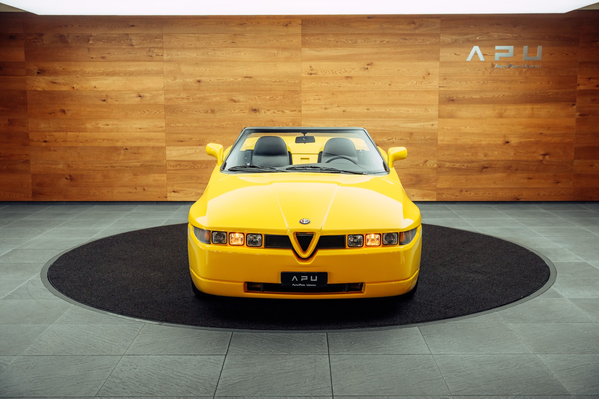 ALFA ROMEO RZ Zagato-image-23