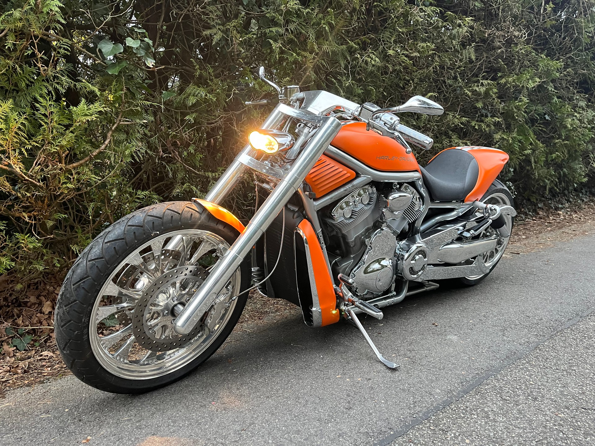 HARLEY-DAVIDSON VRSCA V-Rod A-image-0