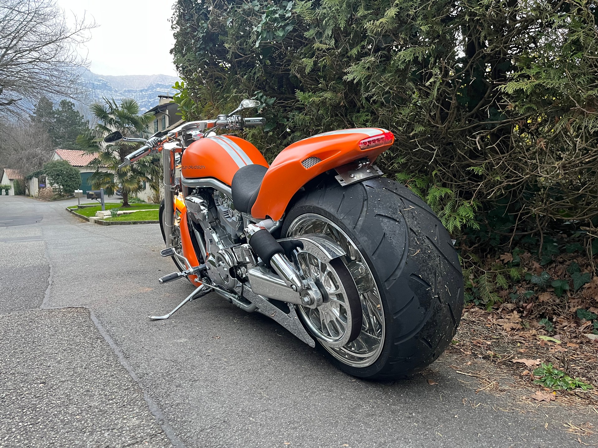HARLEY-DAVIDSON VRSCA V-Rod A-image-2