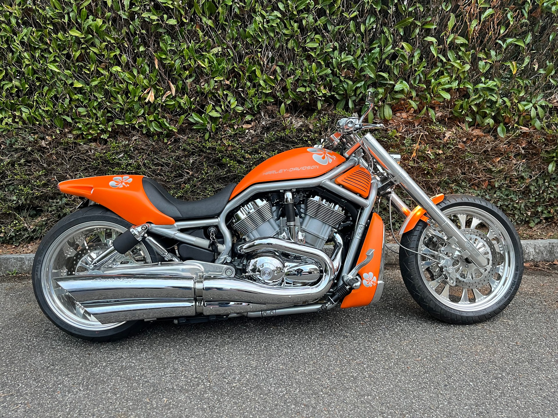 HARLEY-DAVIDSON VRSCA V-Rod A-image-4