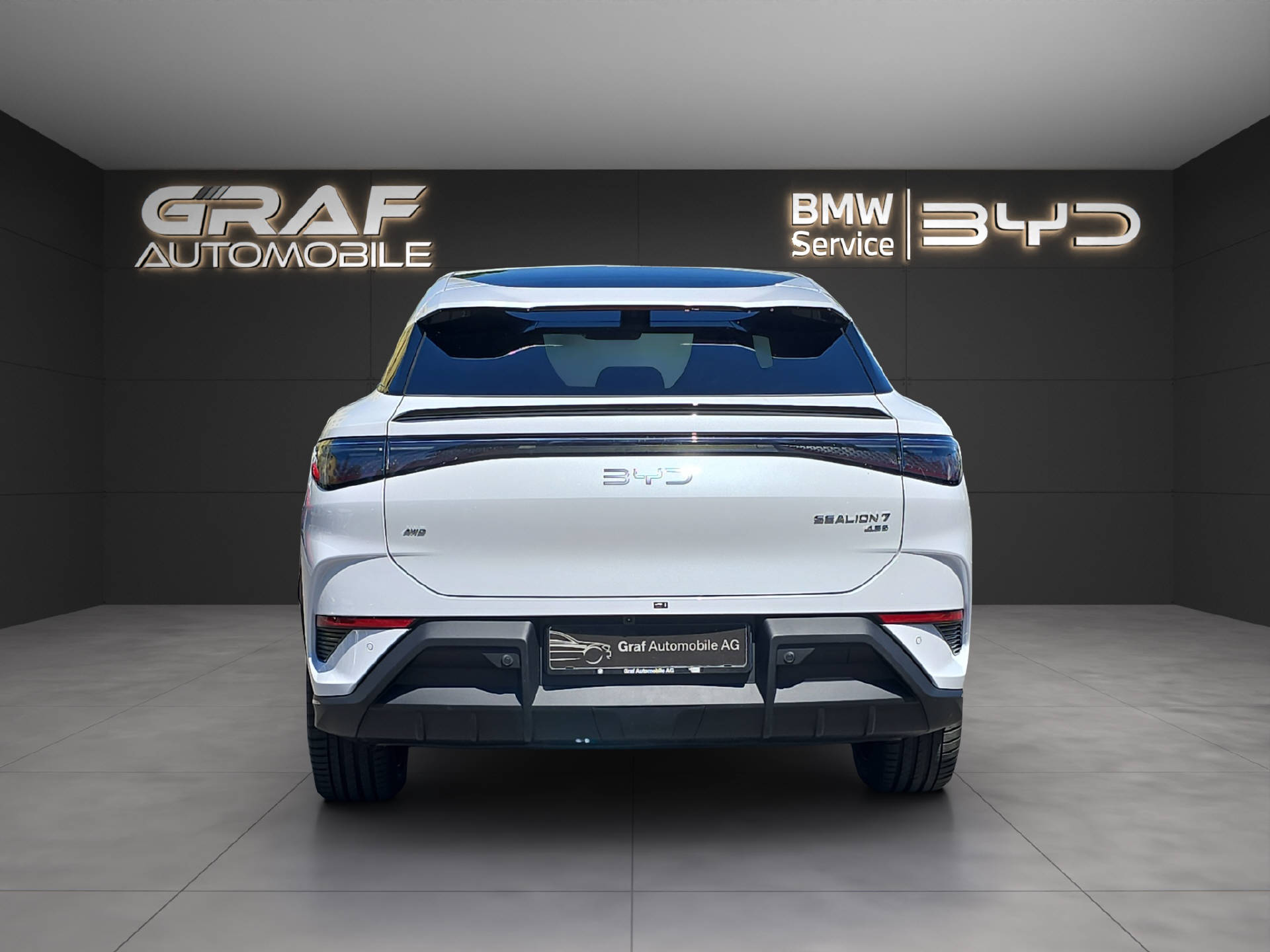 BYD Sealion 7 Excellence-image-5