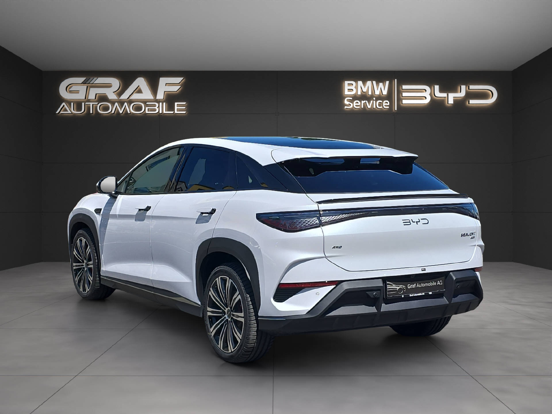 BYD Sealion 7 Excellence-image-6