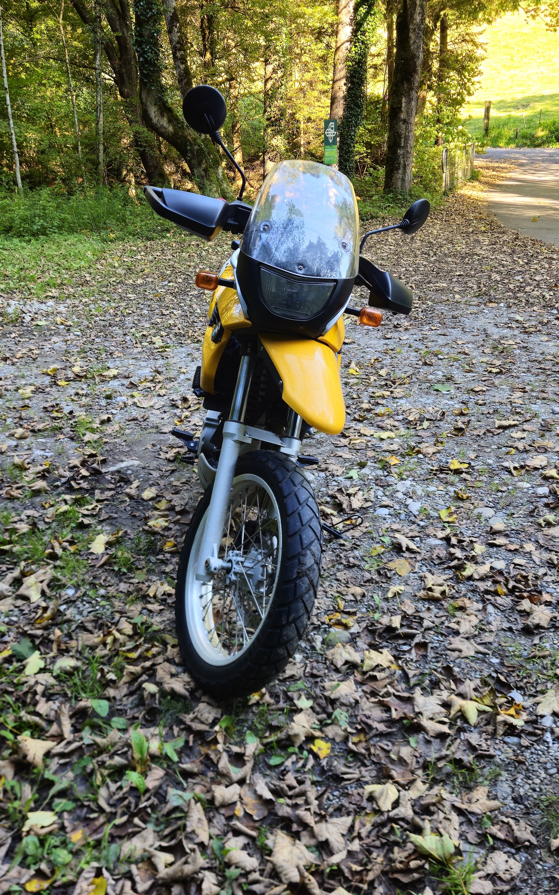 BMW F 650 GS (25kW)-image-2