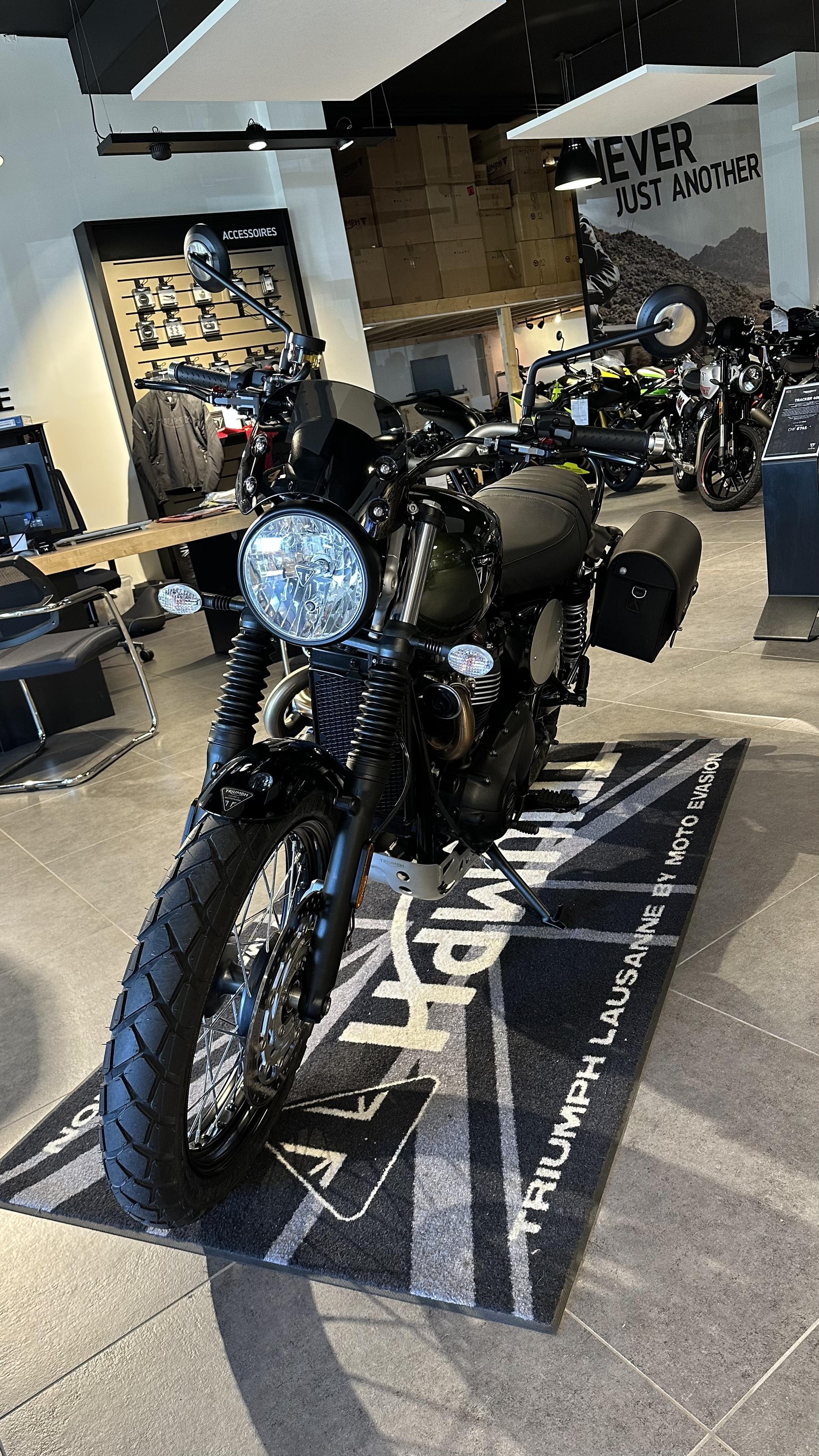 TRIUMPH Street Scrambler 900 Special Edition-image-2