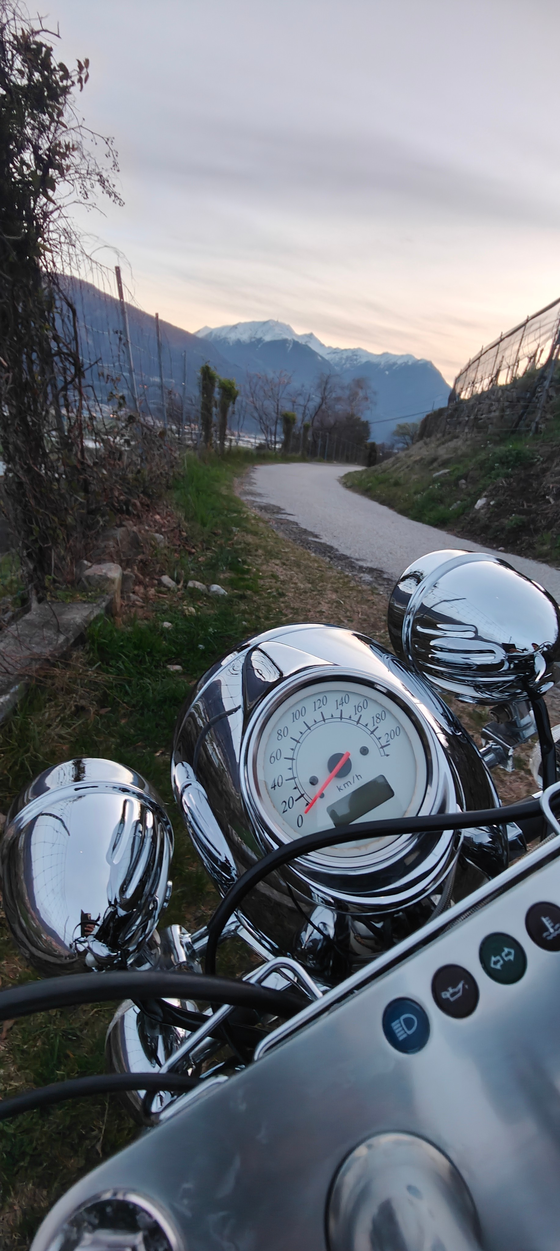 HONDA VT 1100 C3 Shadow Aero-image-5